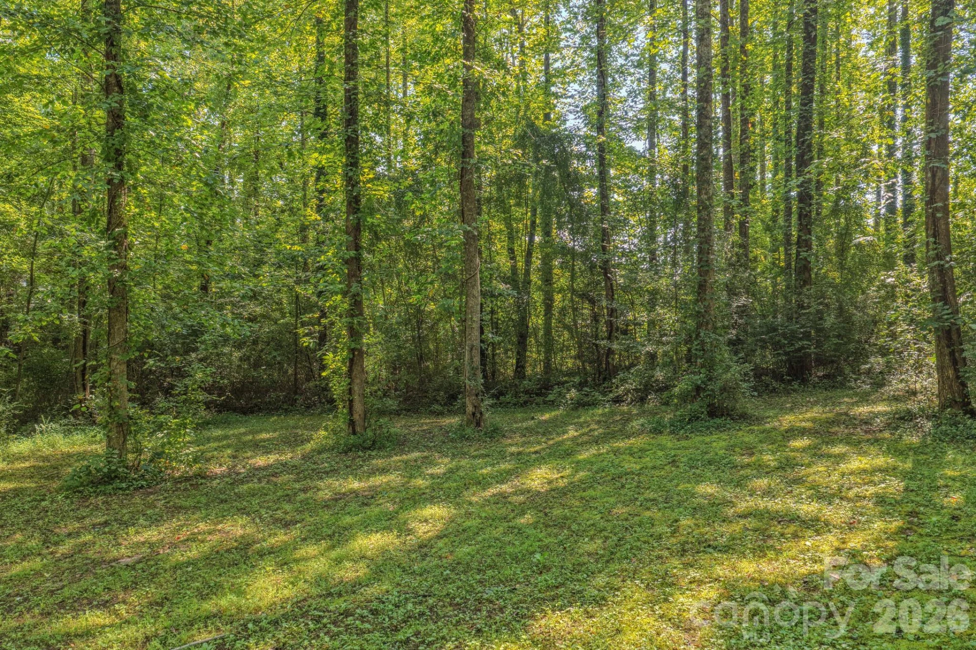 144 Lake Esterena Drive #NA - Photo 7