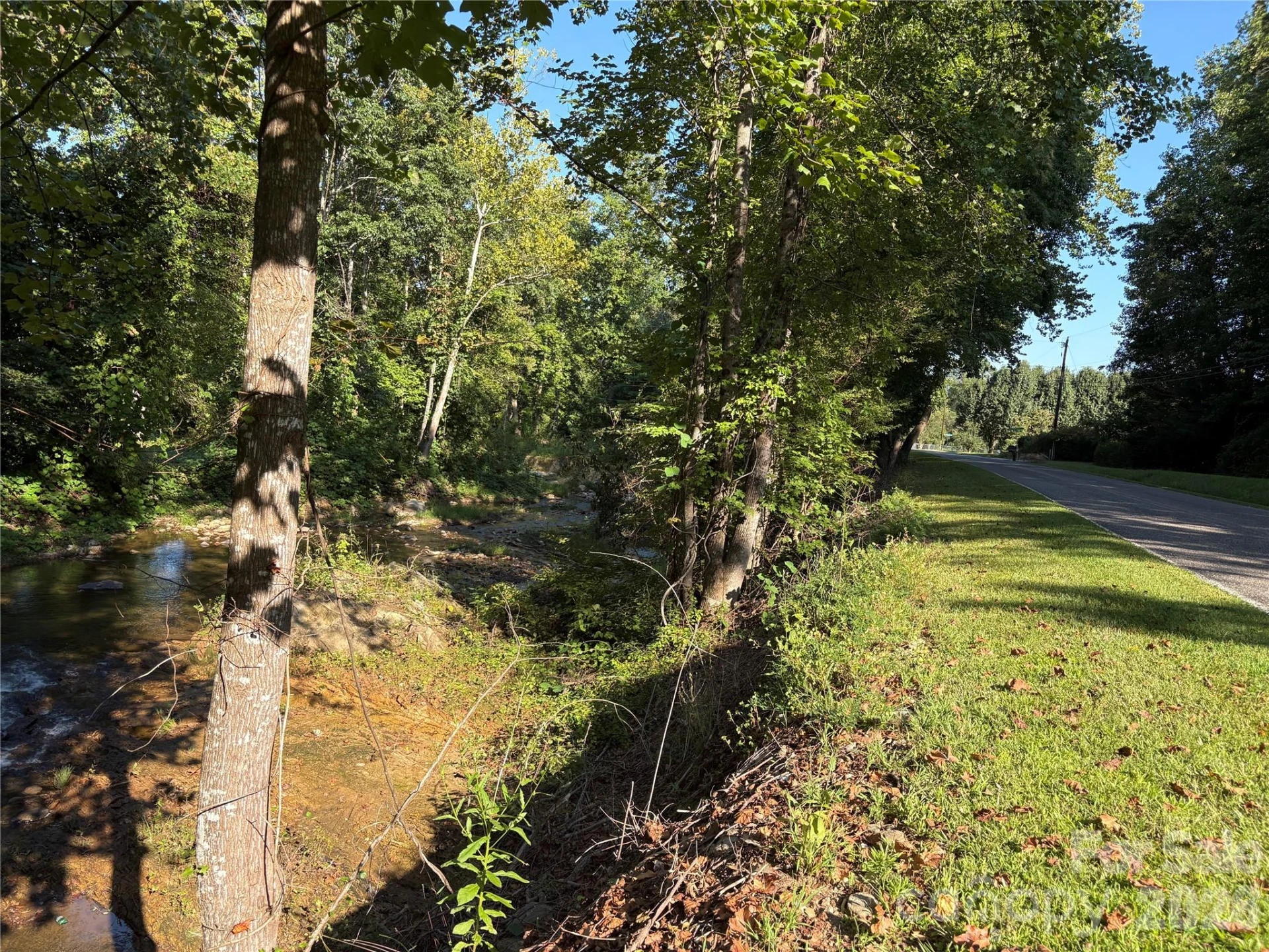144 Lake Esterena Drive #NA - Photo 8
