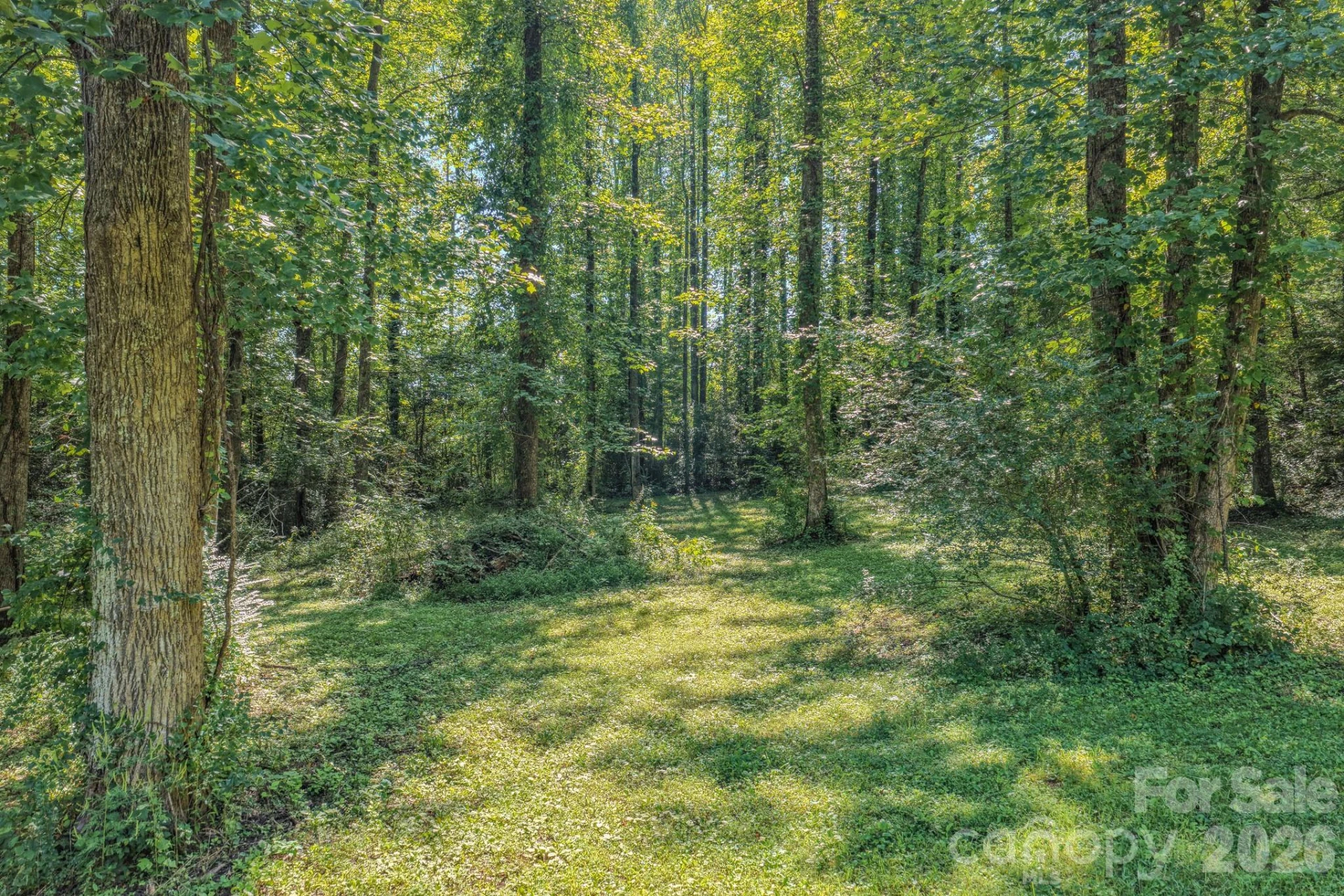 144 Lake Esterena Drive #NA - Photo 9