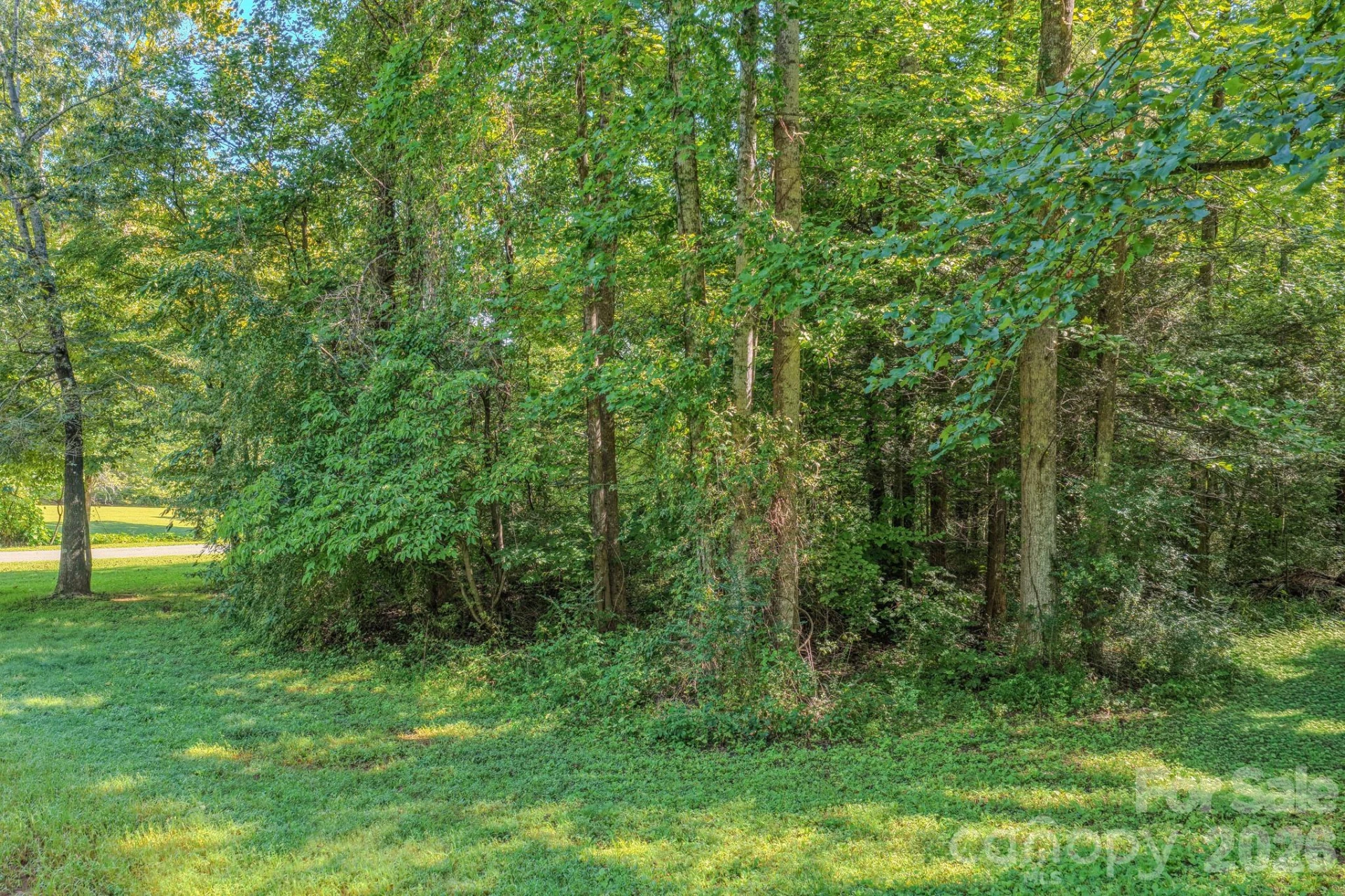 144 Lake Esterena Drive #NA - Photo 10