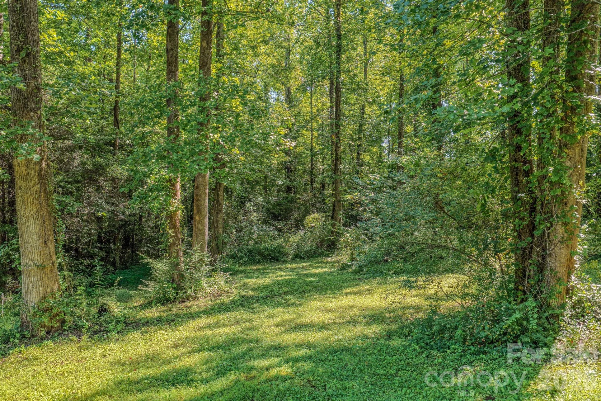 144 Lake Esterena Drive #NA - Photo 11