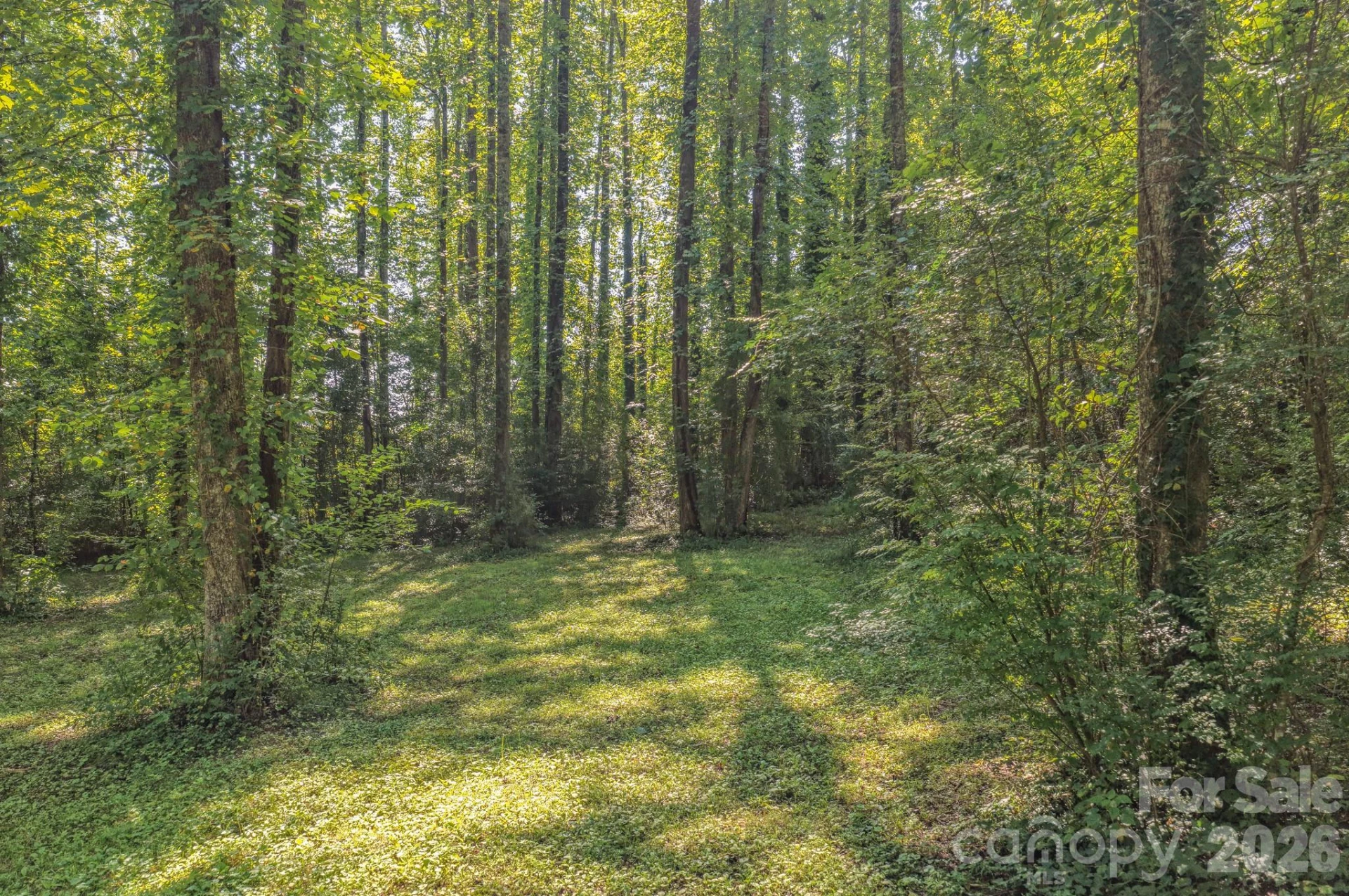 144 Lake Esterena Drive #NA - Photo 12