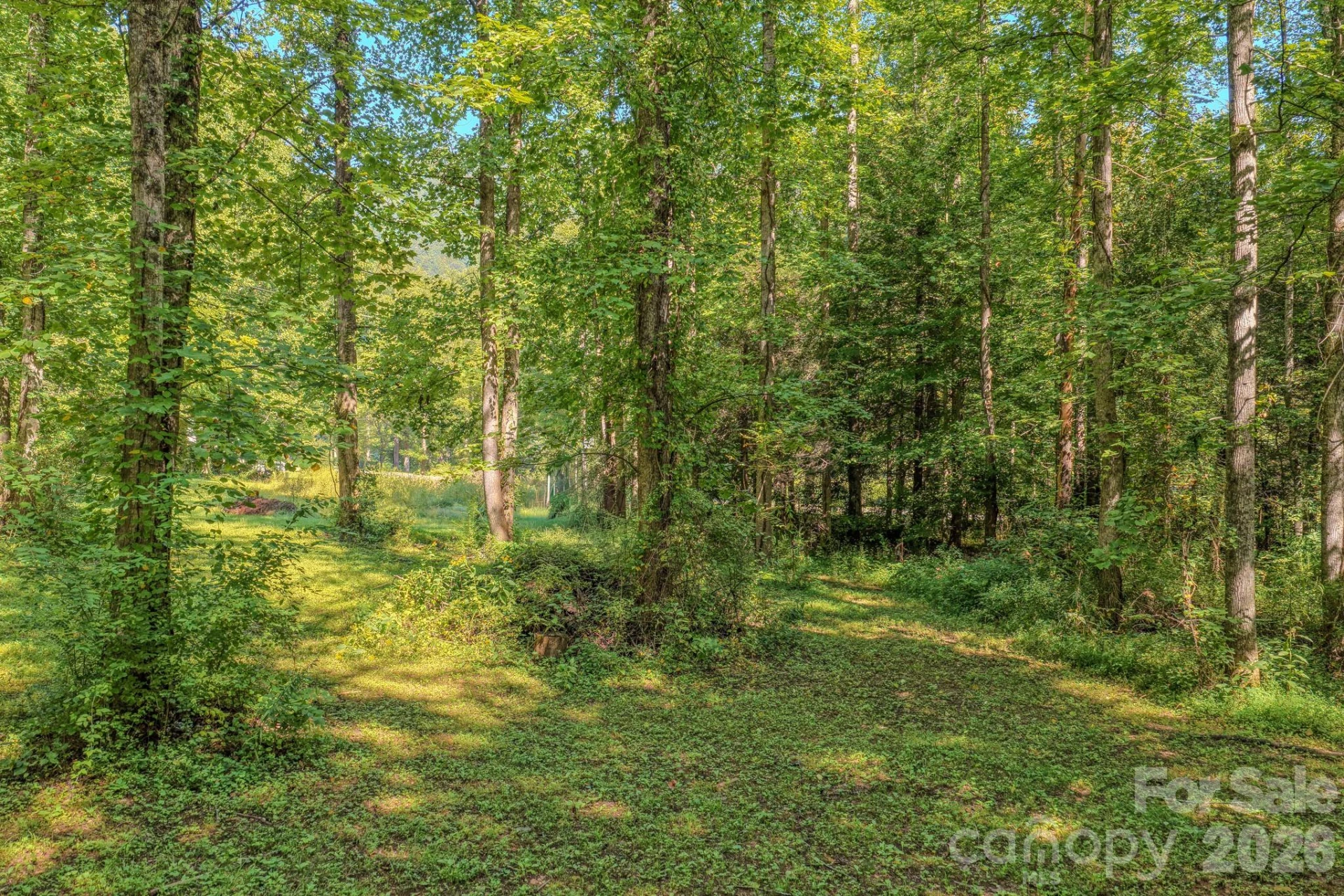 144 Lake Esterena Drive #NA - Photo 25
