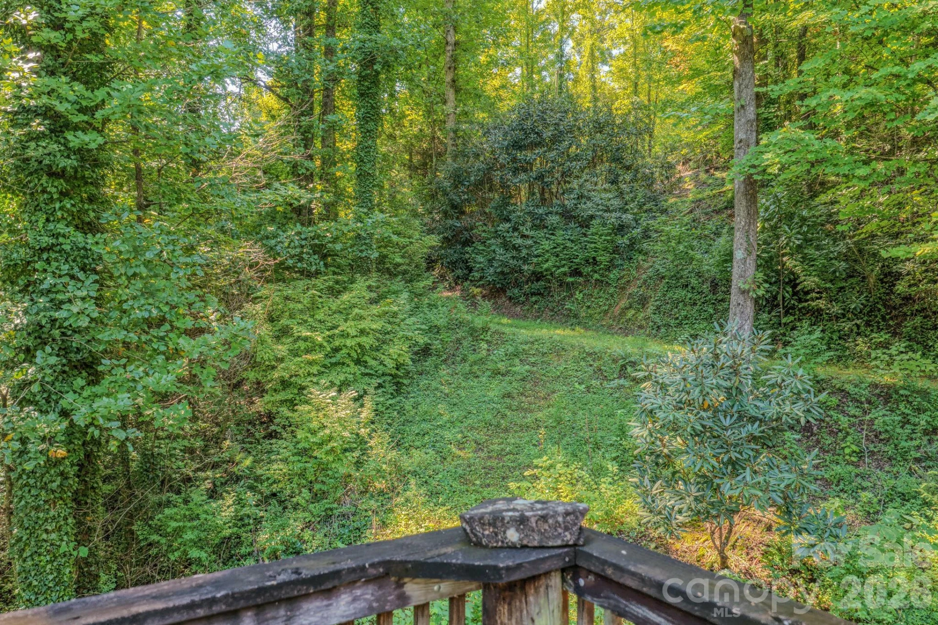 144 Lake Esterena Drive #NA - Photo 32