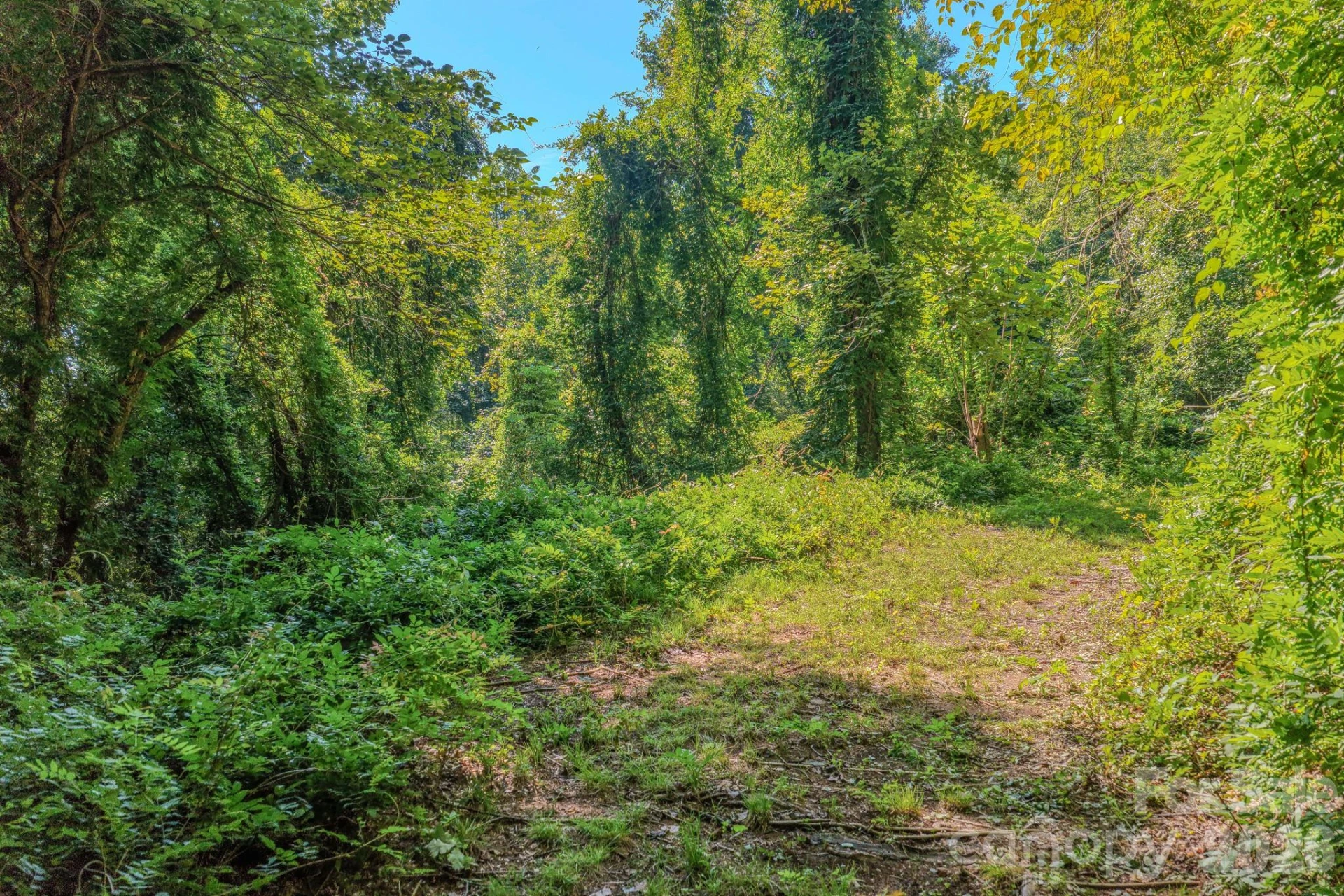 144 Lake Esterena Drive #NA - Photo 36