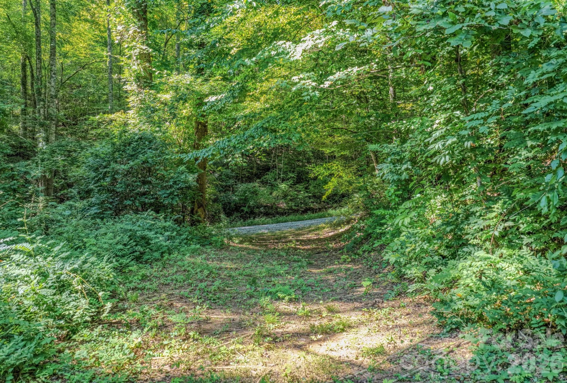 144 Lake Esterena Drive #NA - Photo 37