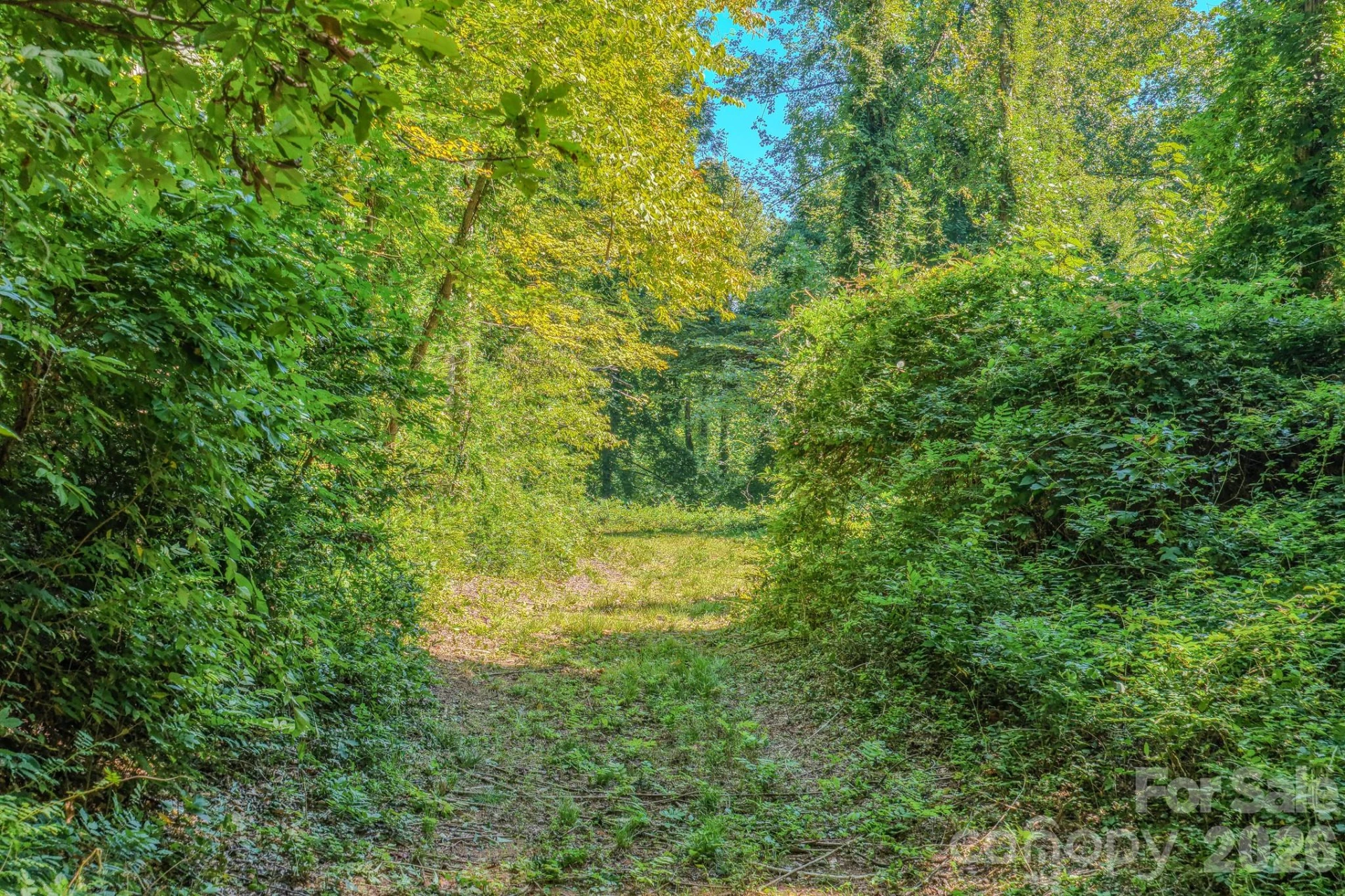144 Lake Esterena Drive #NA - Photo 38