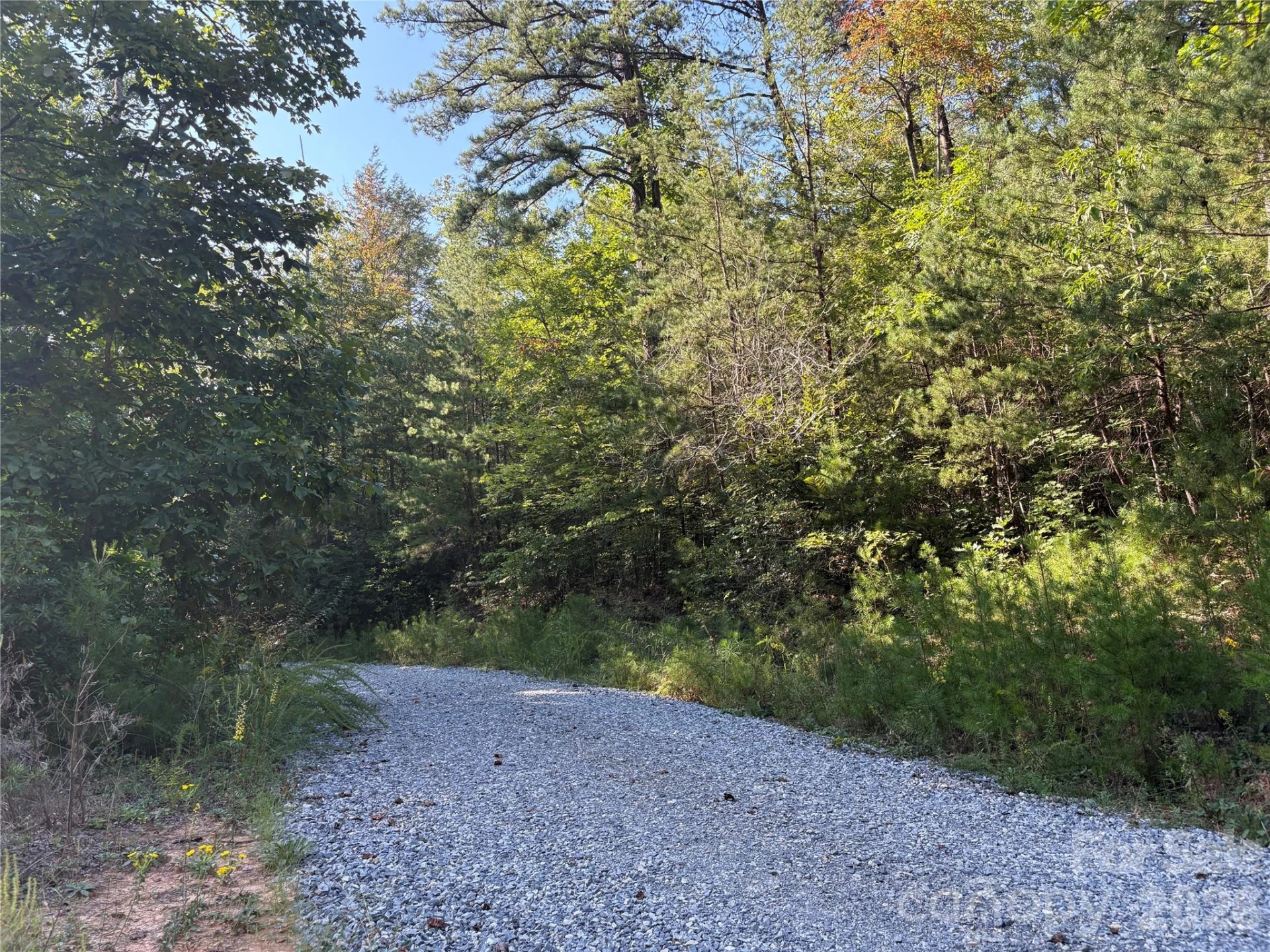 144 Lake Esterena Drive #NA - Photo 45
