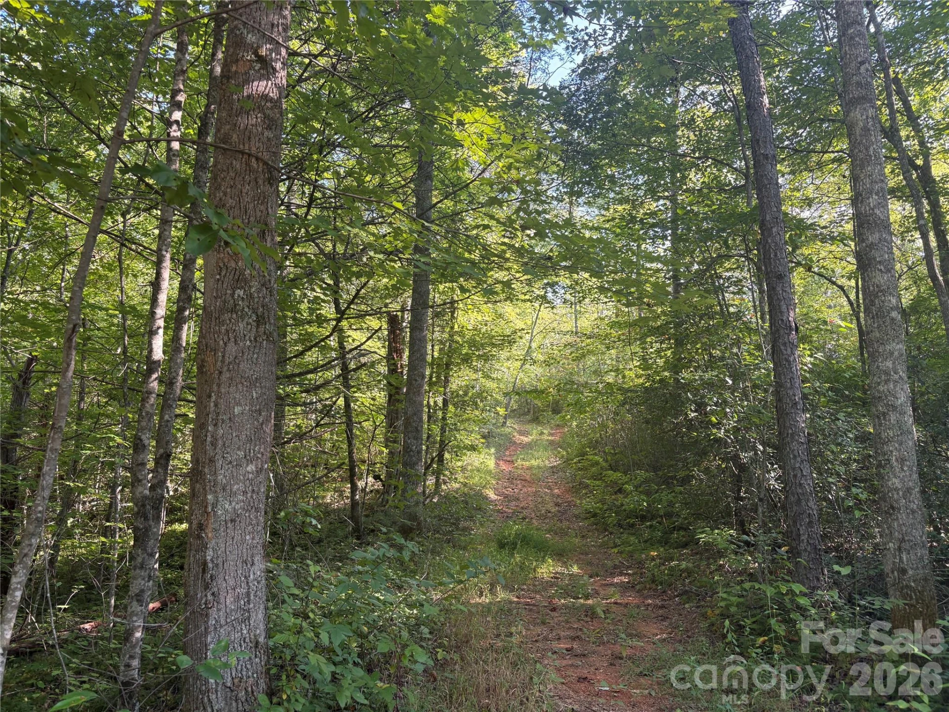 144 Lake Esterena Drive #NA - Photo 46