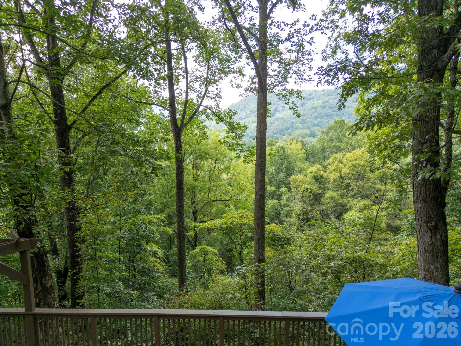 1073 Countryside Drive - Photo 4