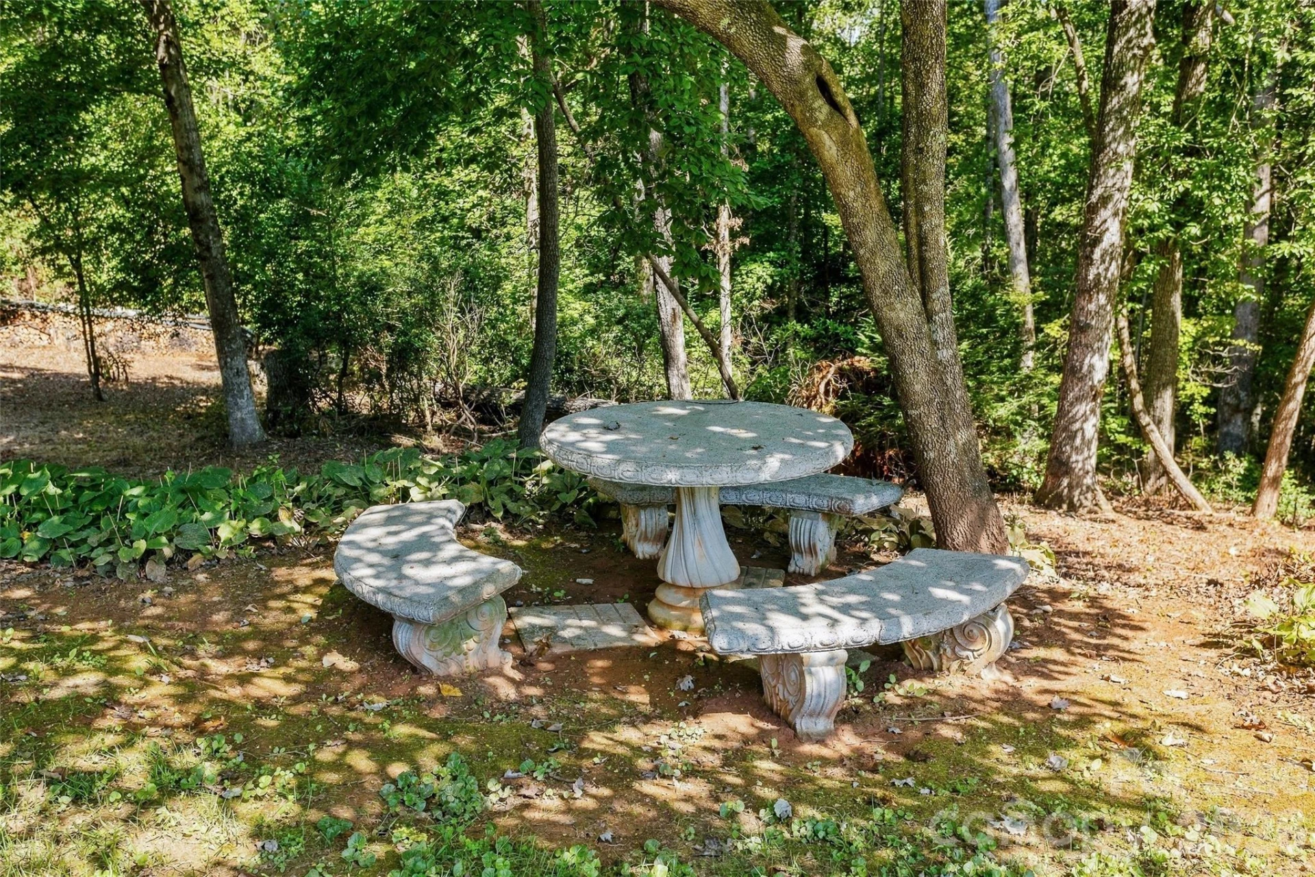 183 Mckinney Road W - Photo 40