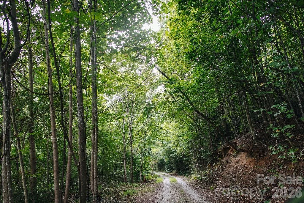 6830 Bat Cave Road - Photo 44