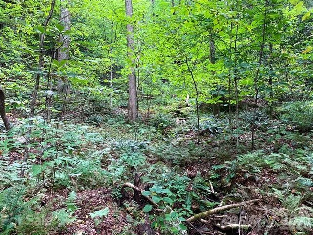 000 Peppervine Circle - Photo 3