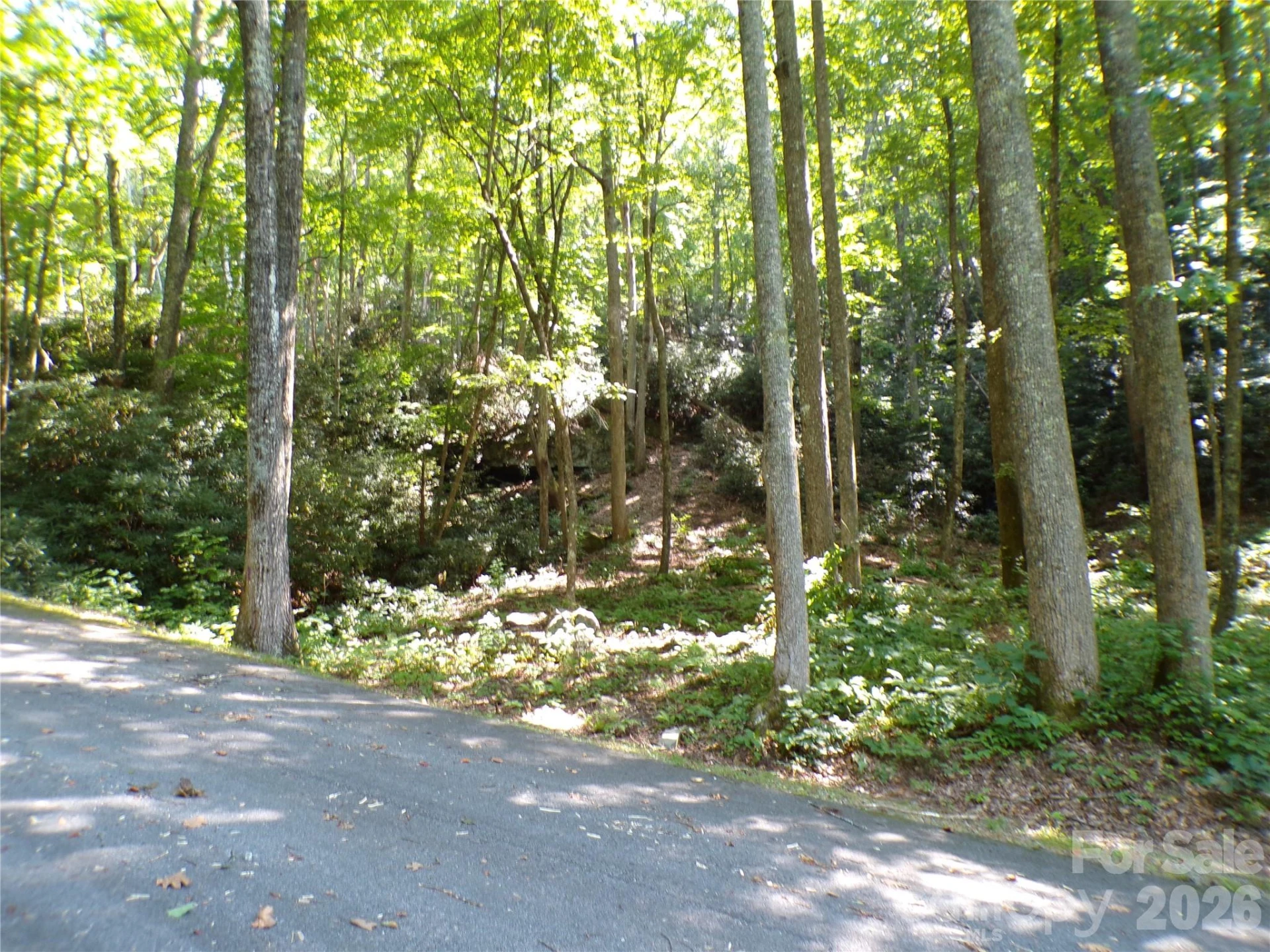 000 Peppervine Circle - Photo 6