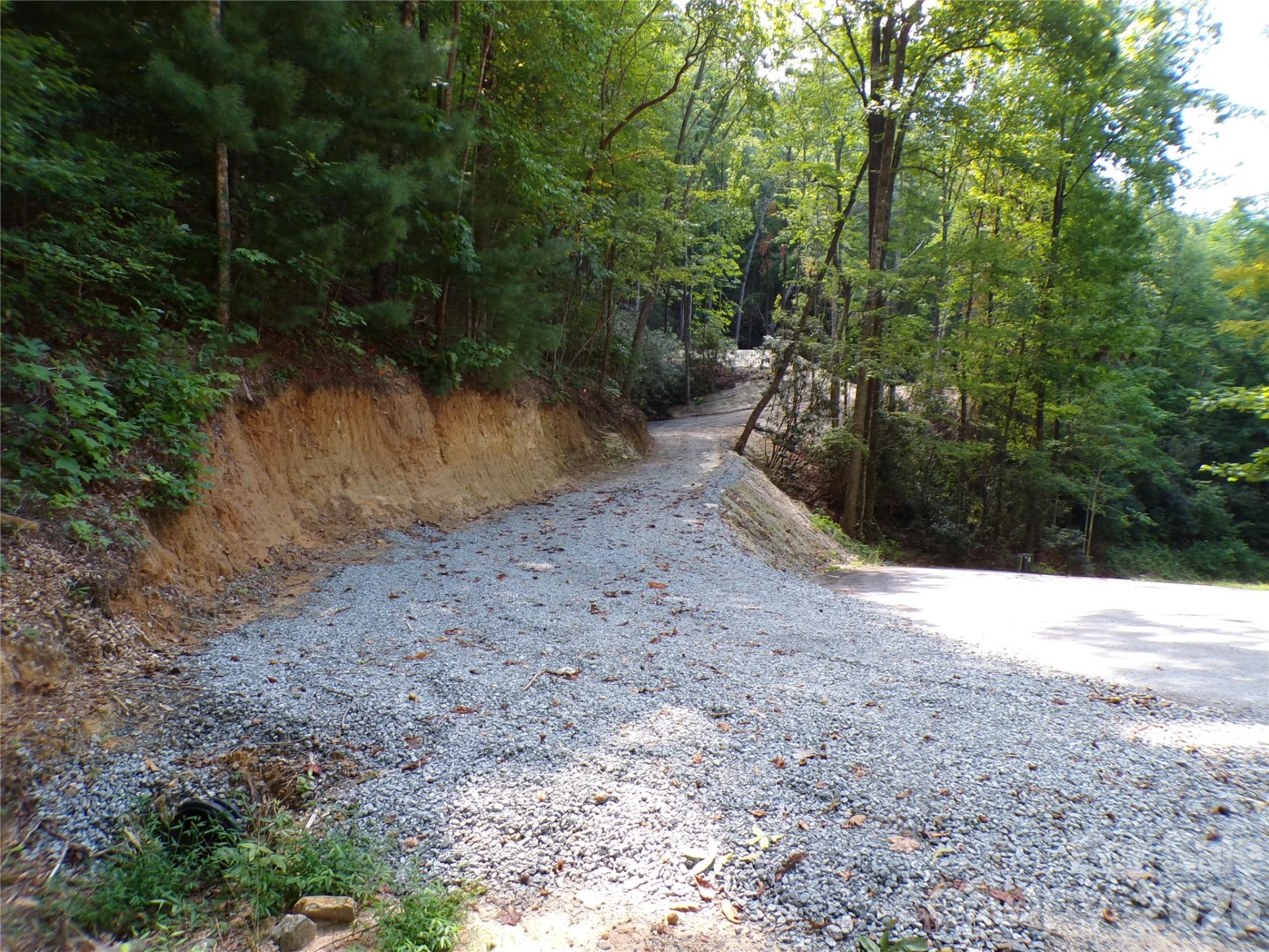 000 Peppervine Circle - Photo 11