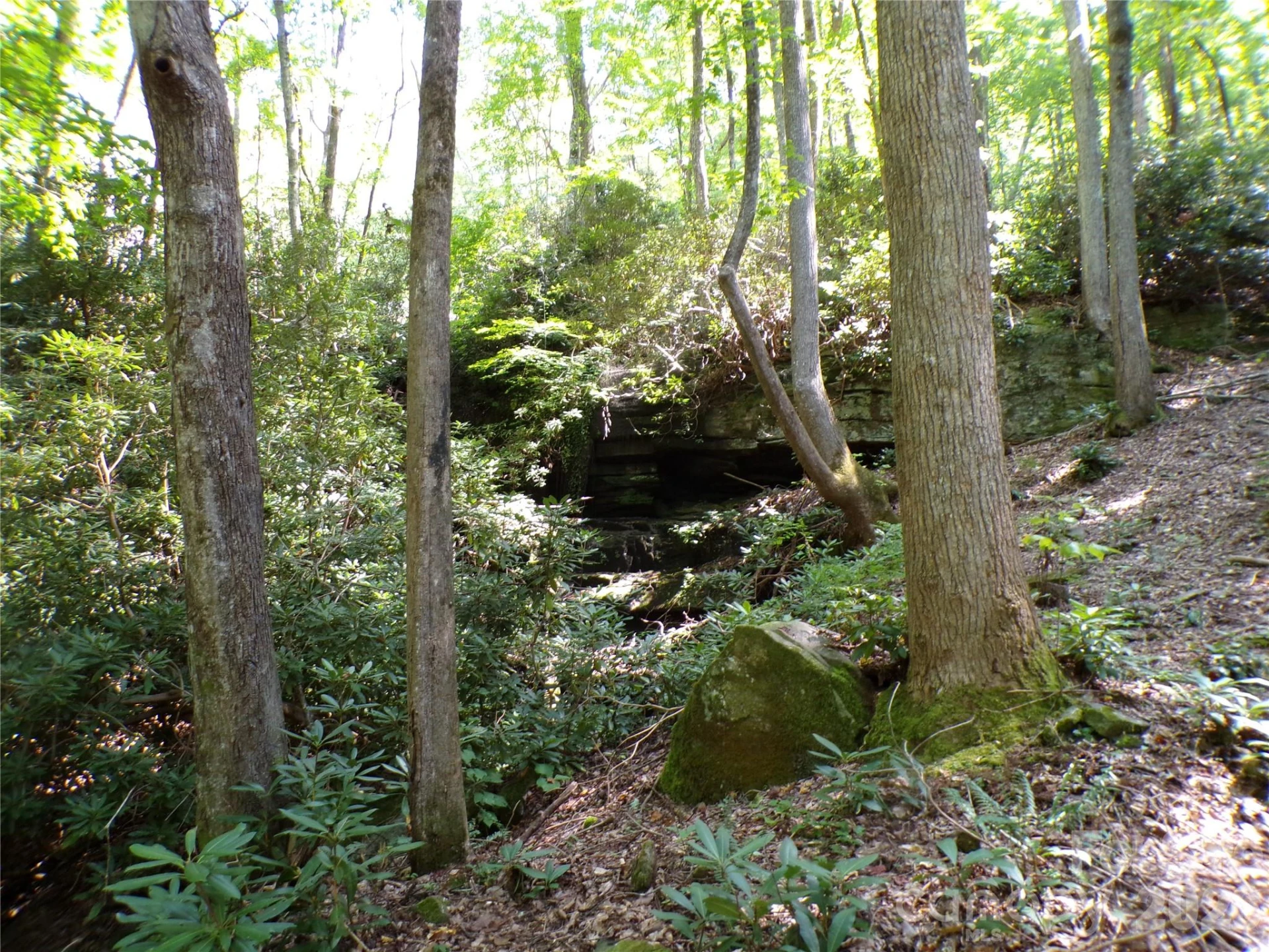 000 Peppervine Circle - Photo 12