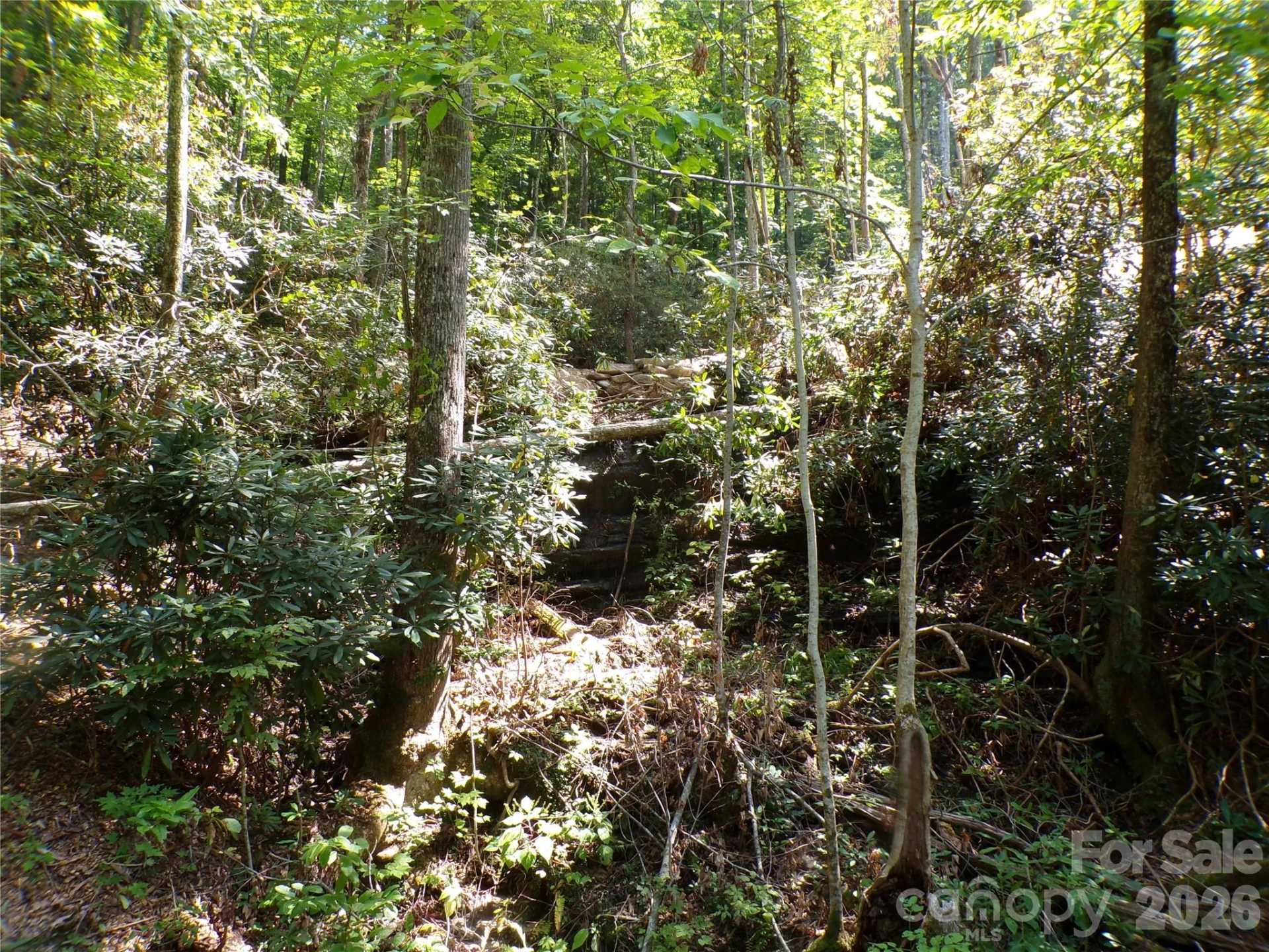 000 Peppervine Circle - Photo 13