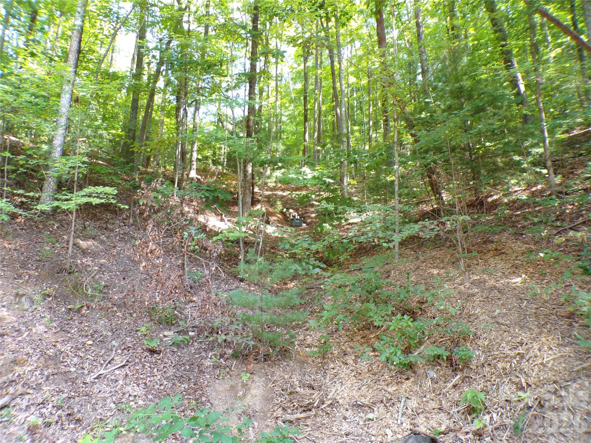 000 Peppervine Circle - Photo 14