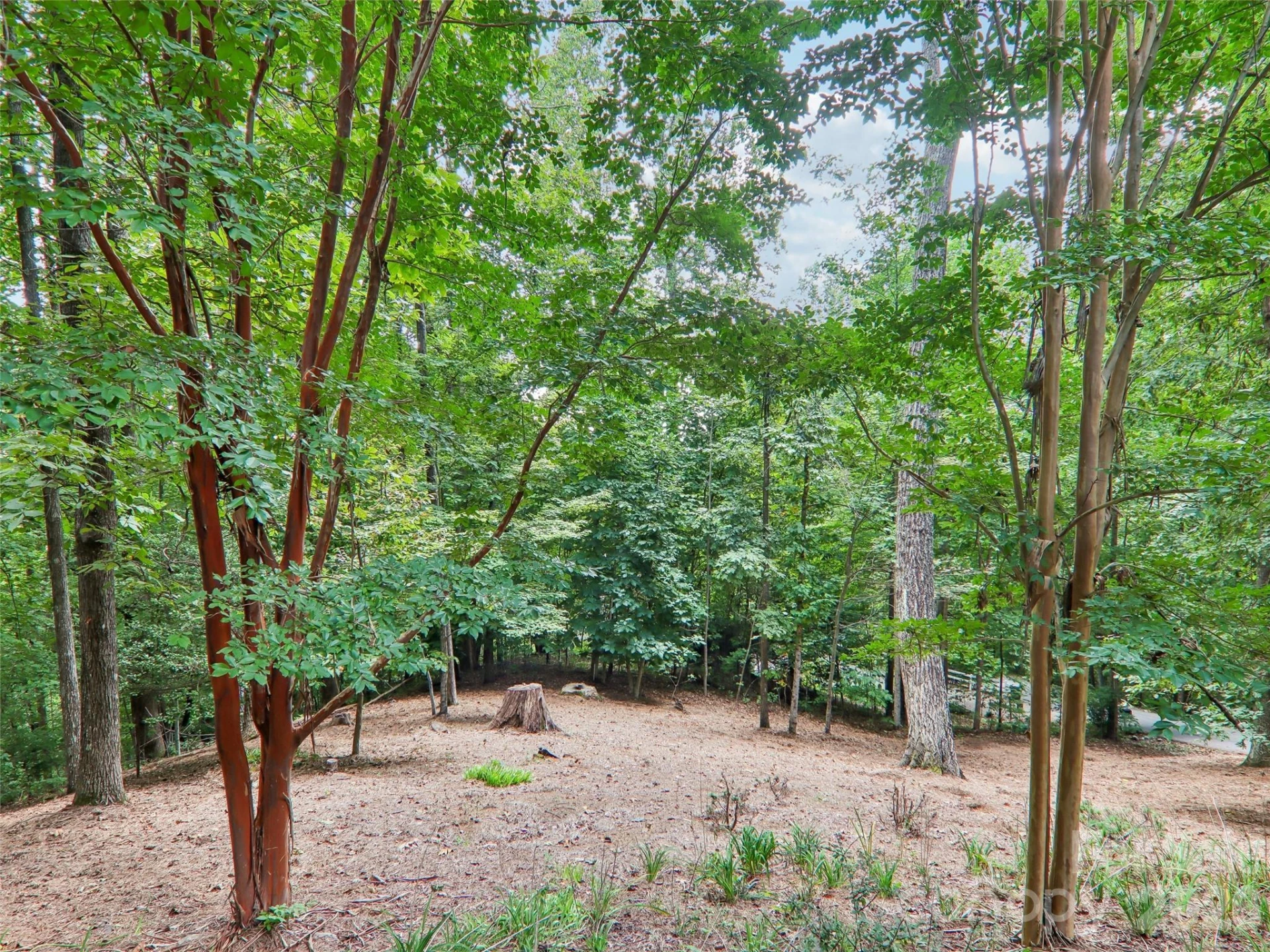 404 Southview Lane - Photo 37