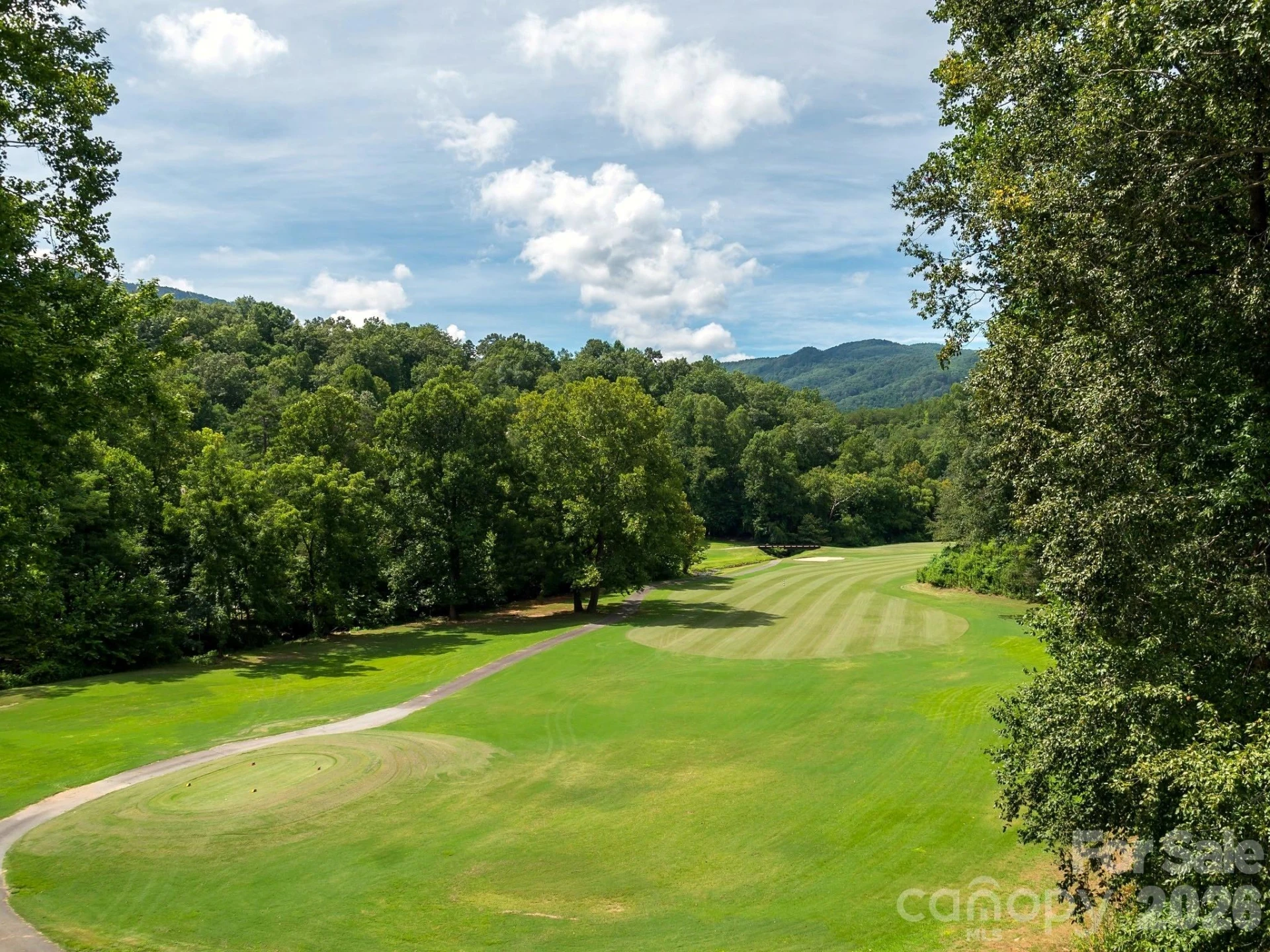 160 Whitney Boulevard #24 - Photo 37