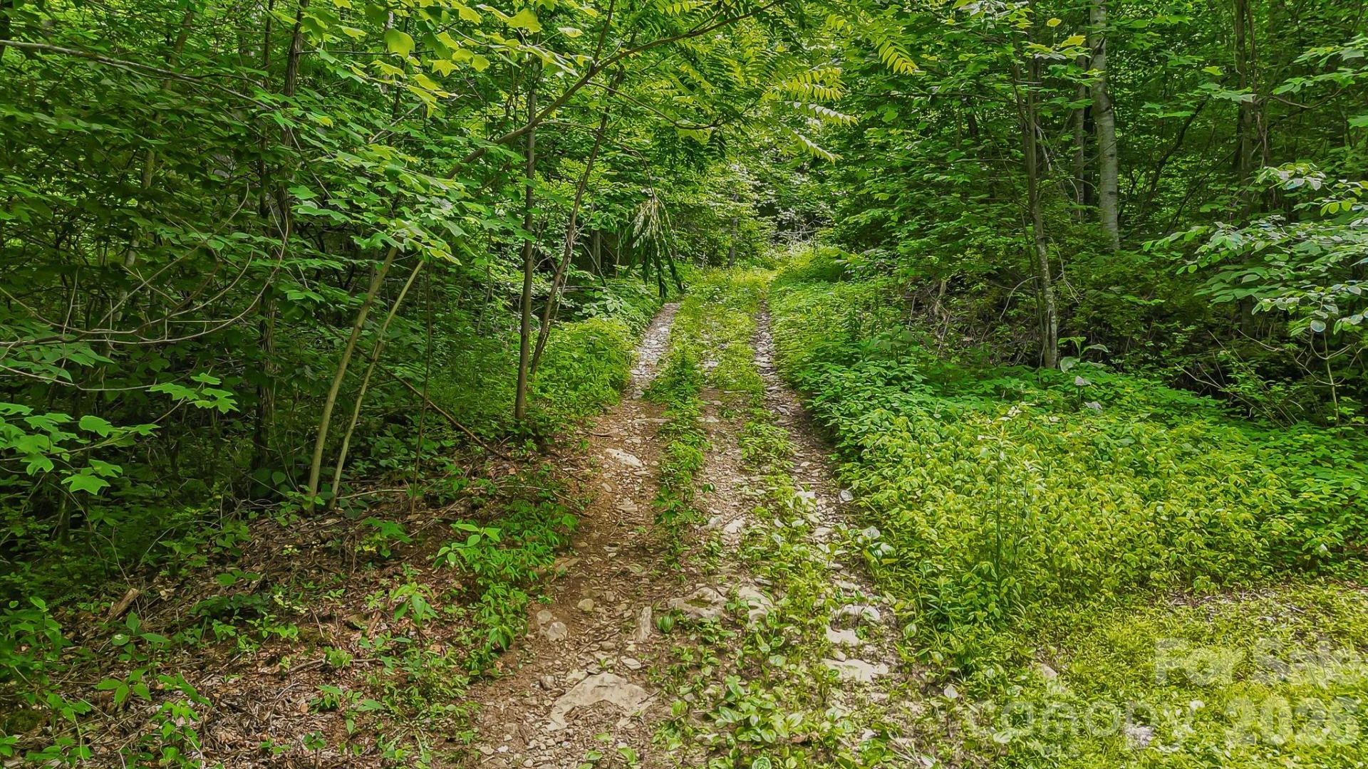 158 Sugar Cove Road - Photo 6