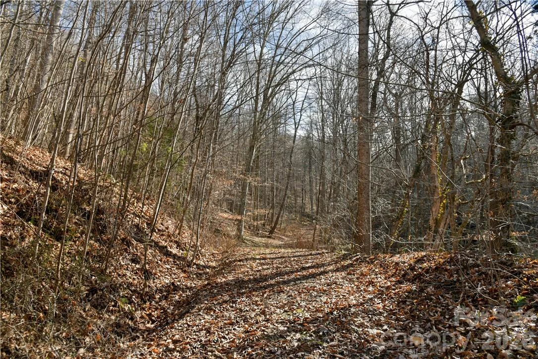 158 Sugar Cove Road - Photo 9