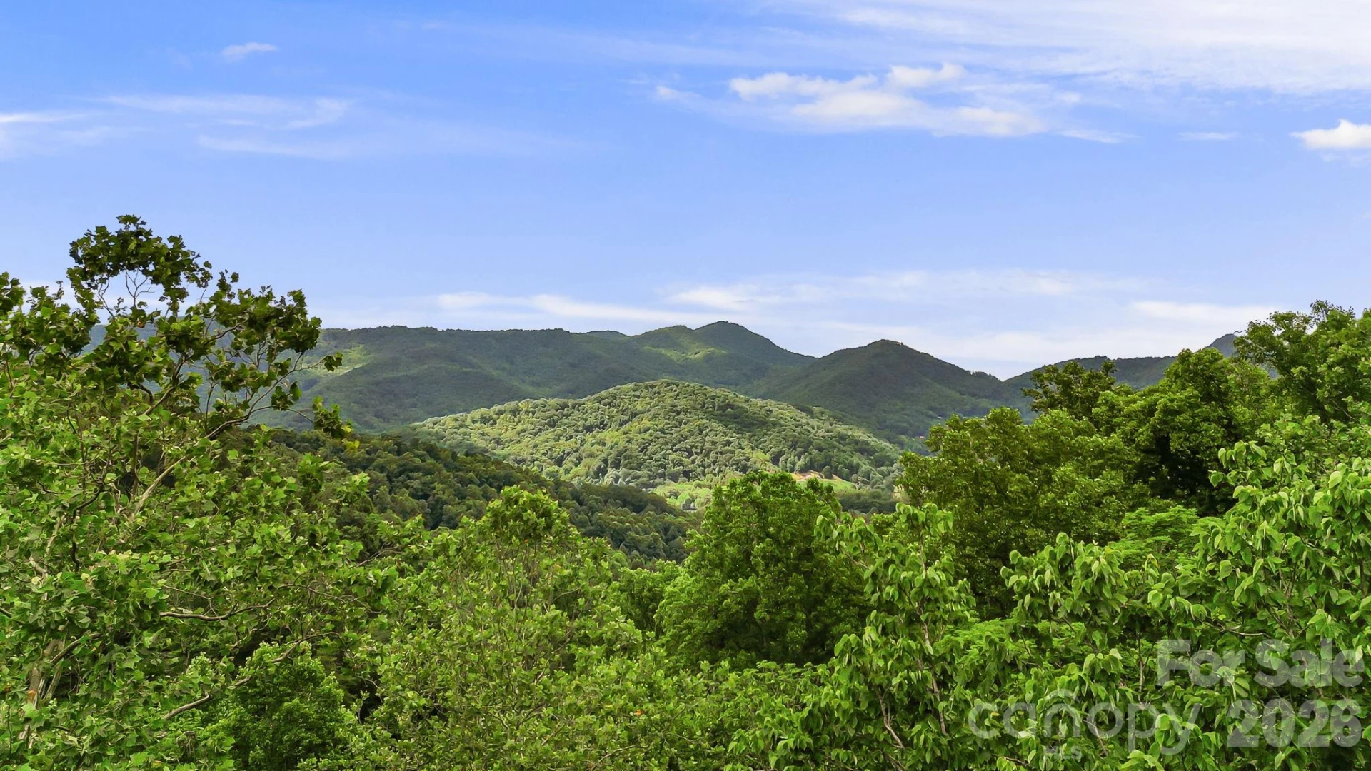 158 Sugar Cove Road - Photo 14