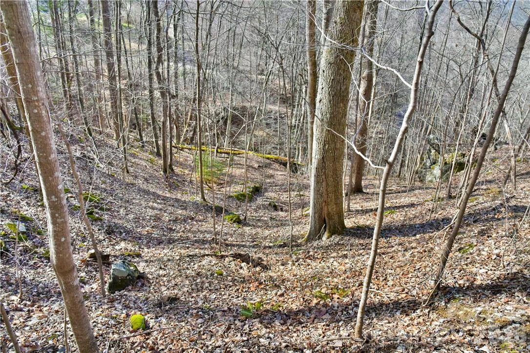 158 Sugar Cove Road - Photo 21