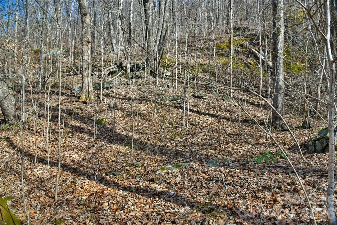 158 Sugar Cove Road - Photo 24
