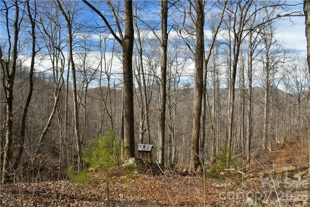 158 Sugar Cove Road - Photo 26