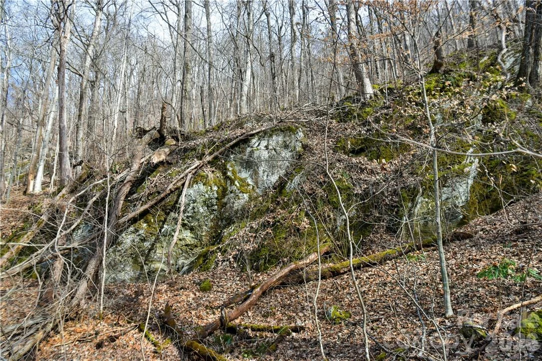 158 Sugar Cove Road - Photo 28