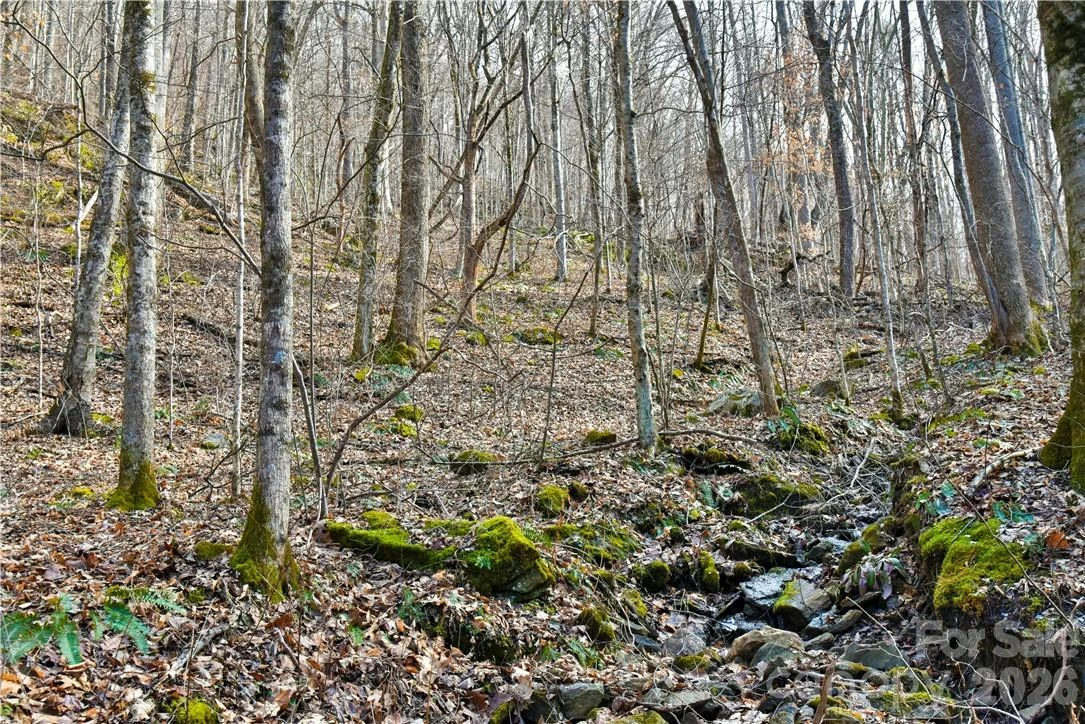 158 Sugar Cove Road - Photo 32