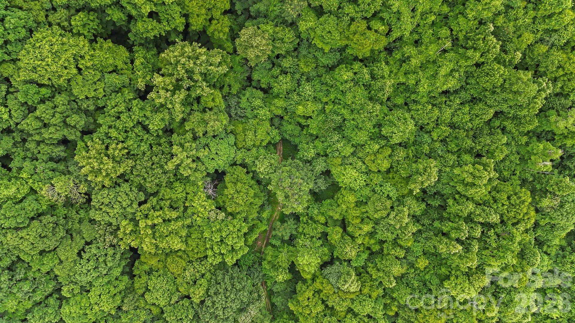 158 Sugar Cove Road - Photo 39