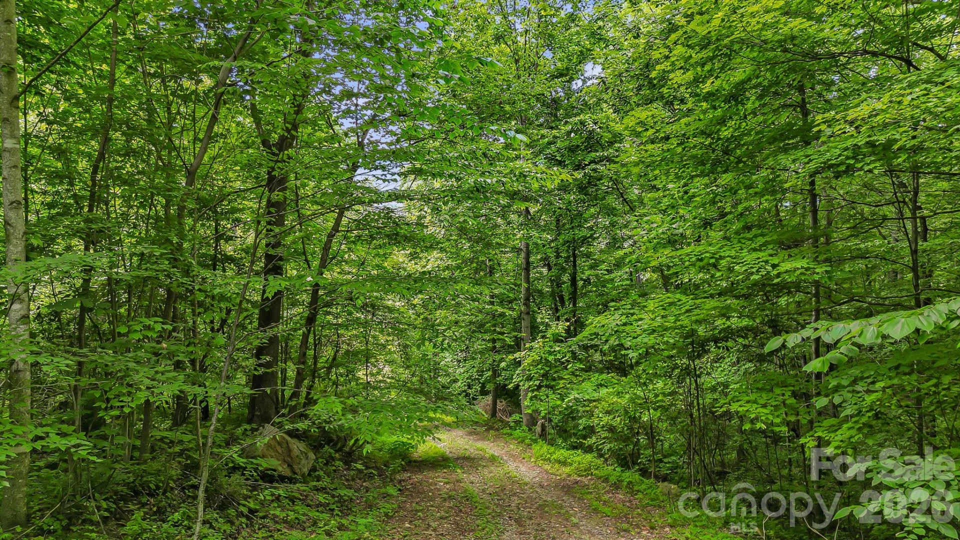 158 Sugar Cove Road - Photo 40