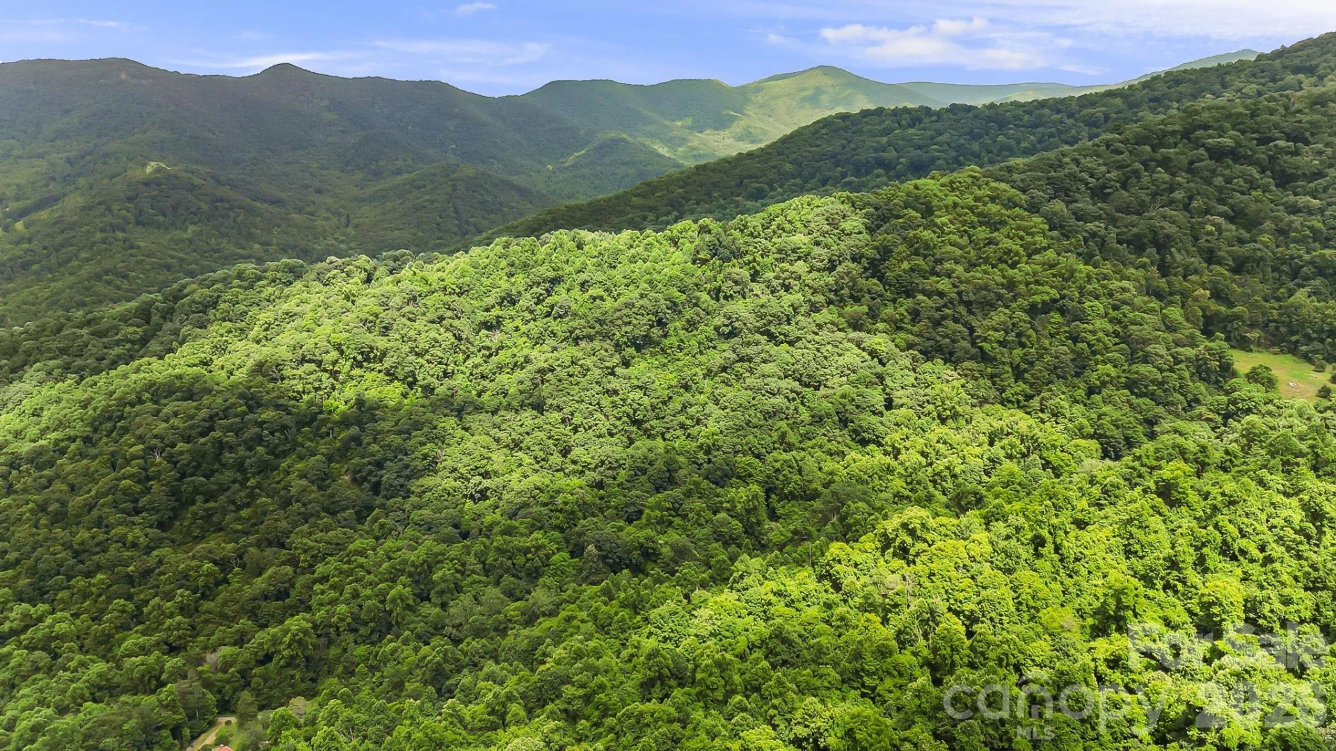 158 Sugar Cove Road - Photo 43