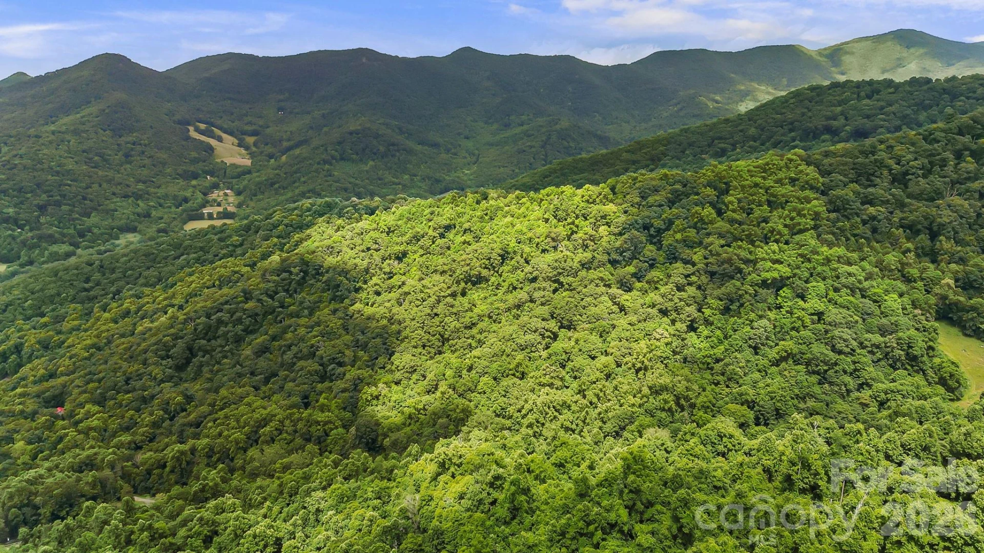 158 Sugar Cove Road - Photo 44
