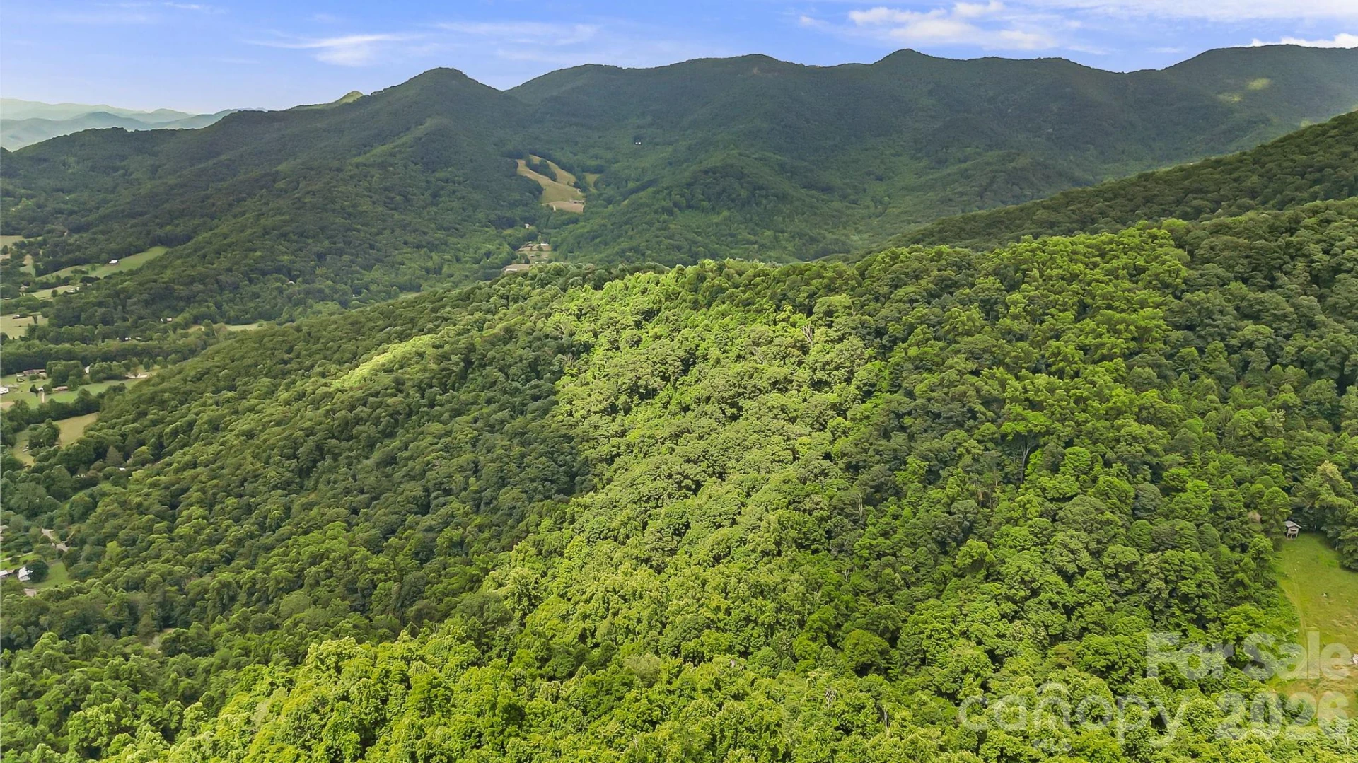 158 Sugar Cove Road - Photo 45