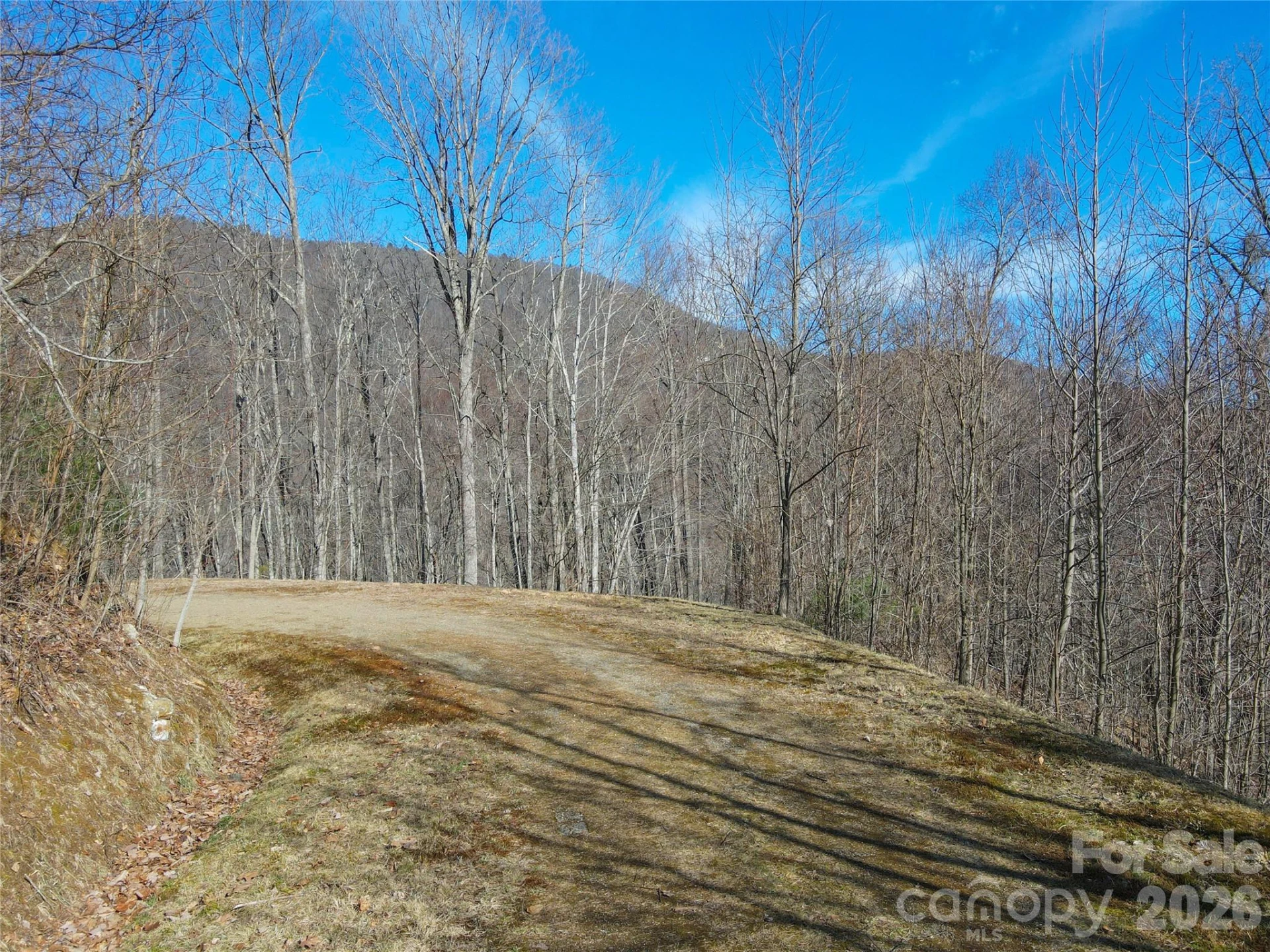 735 Whisper Mountain Drive - Photo 3