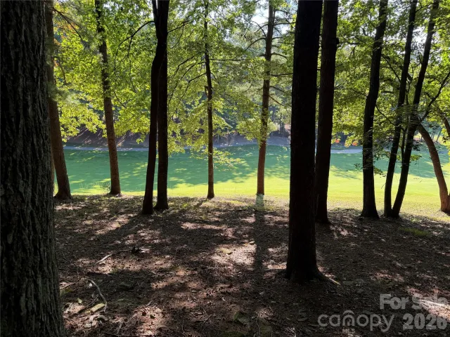 121 Bobby Jones Drive, Hendersonville, NC, 28739