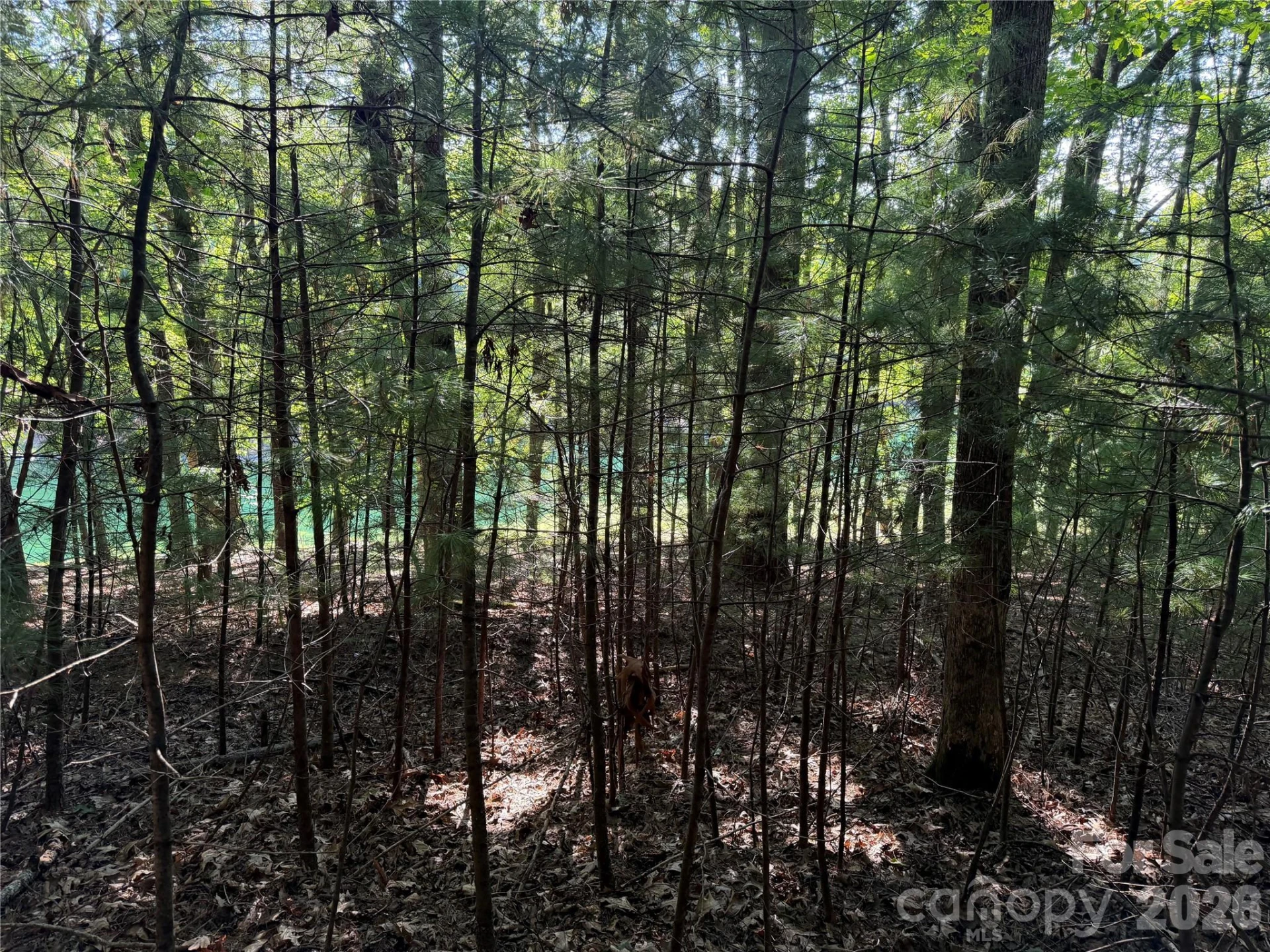 121 Bobby Jones Drive #48 - Photo 2