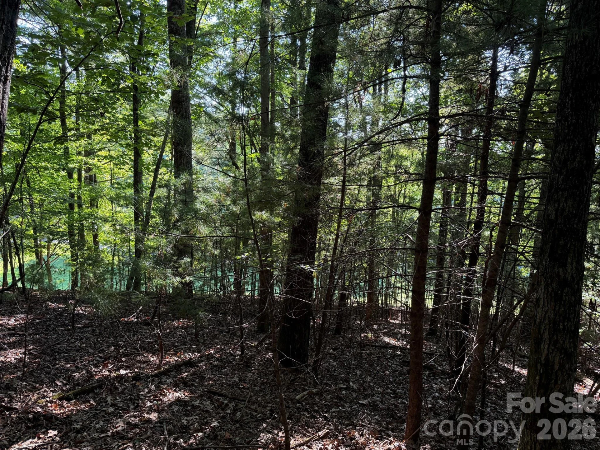 121 Bobby Jones Drive #48 - Photo 3