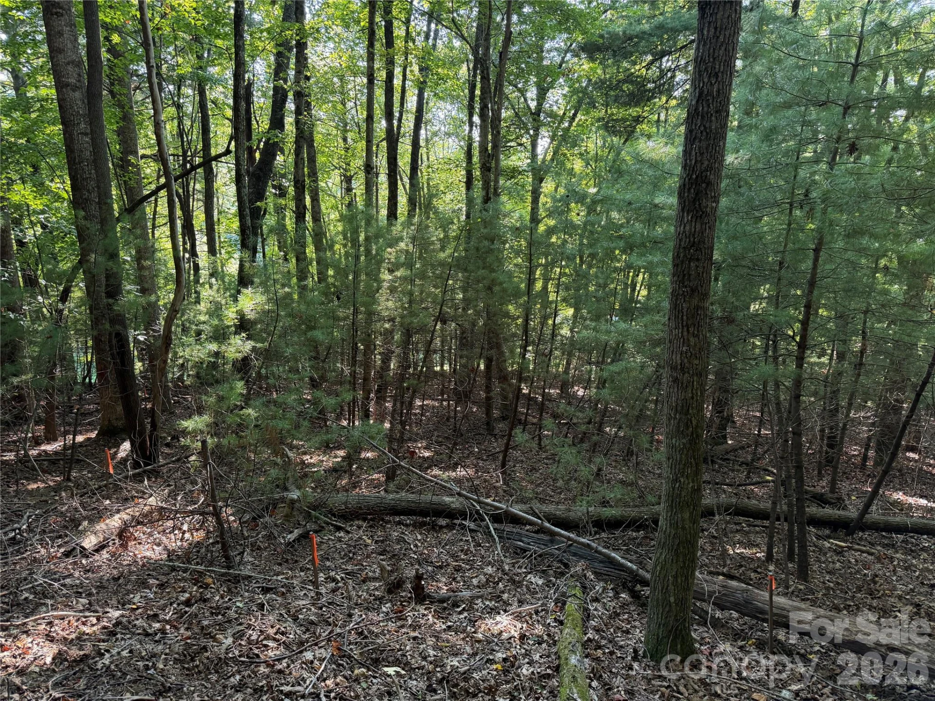 121 Bobby Jones Drive #48 - Photo 4