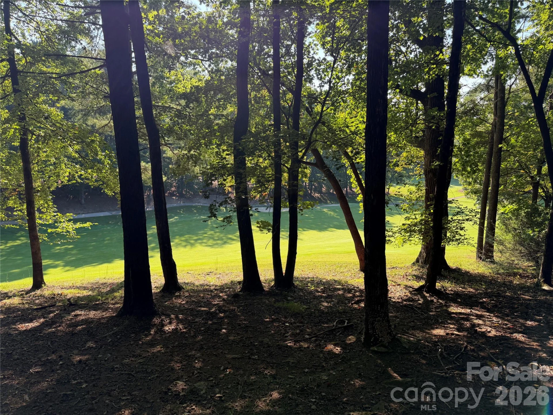 121 Bobby Jones Drive #48 - Photo 5