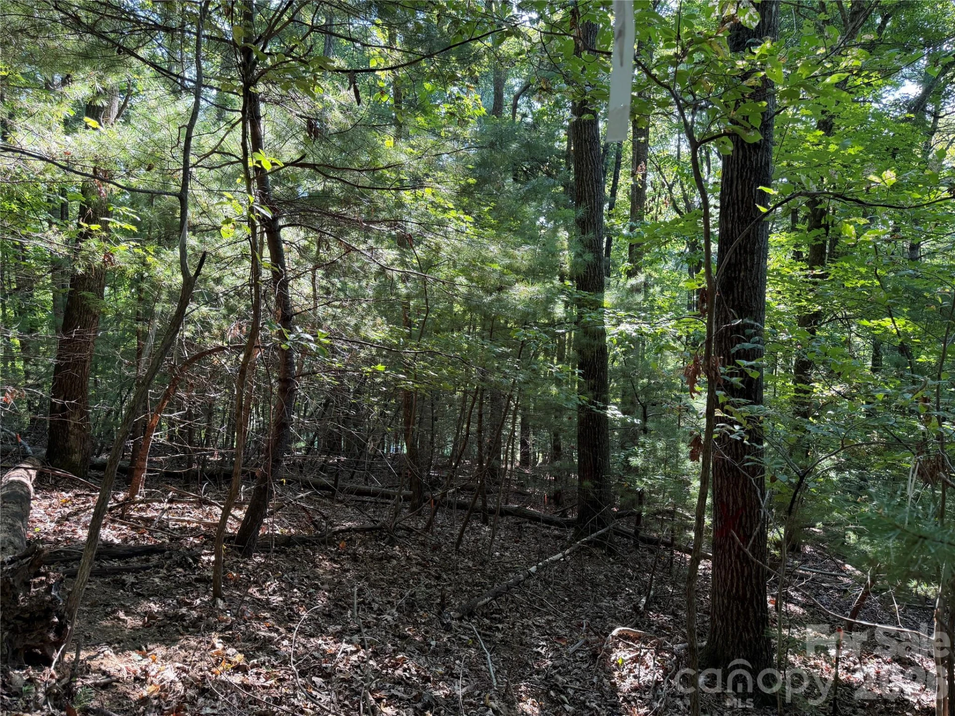 121 Bobby Jones Drive #48 - Photo 6