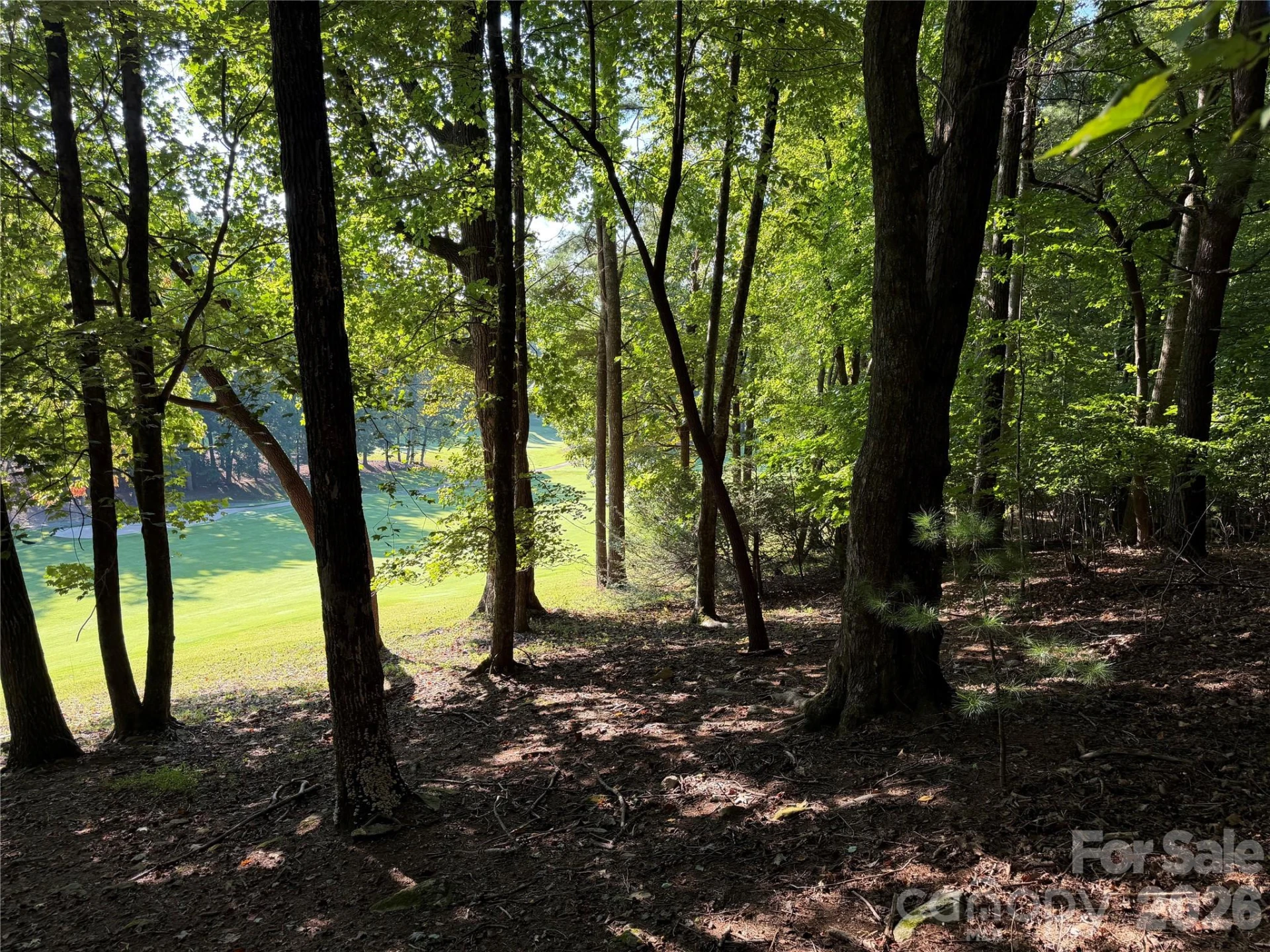 121 Bobby Jones Drive #48 - Photo 7