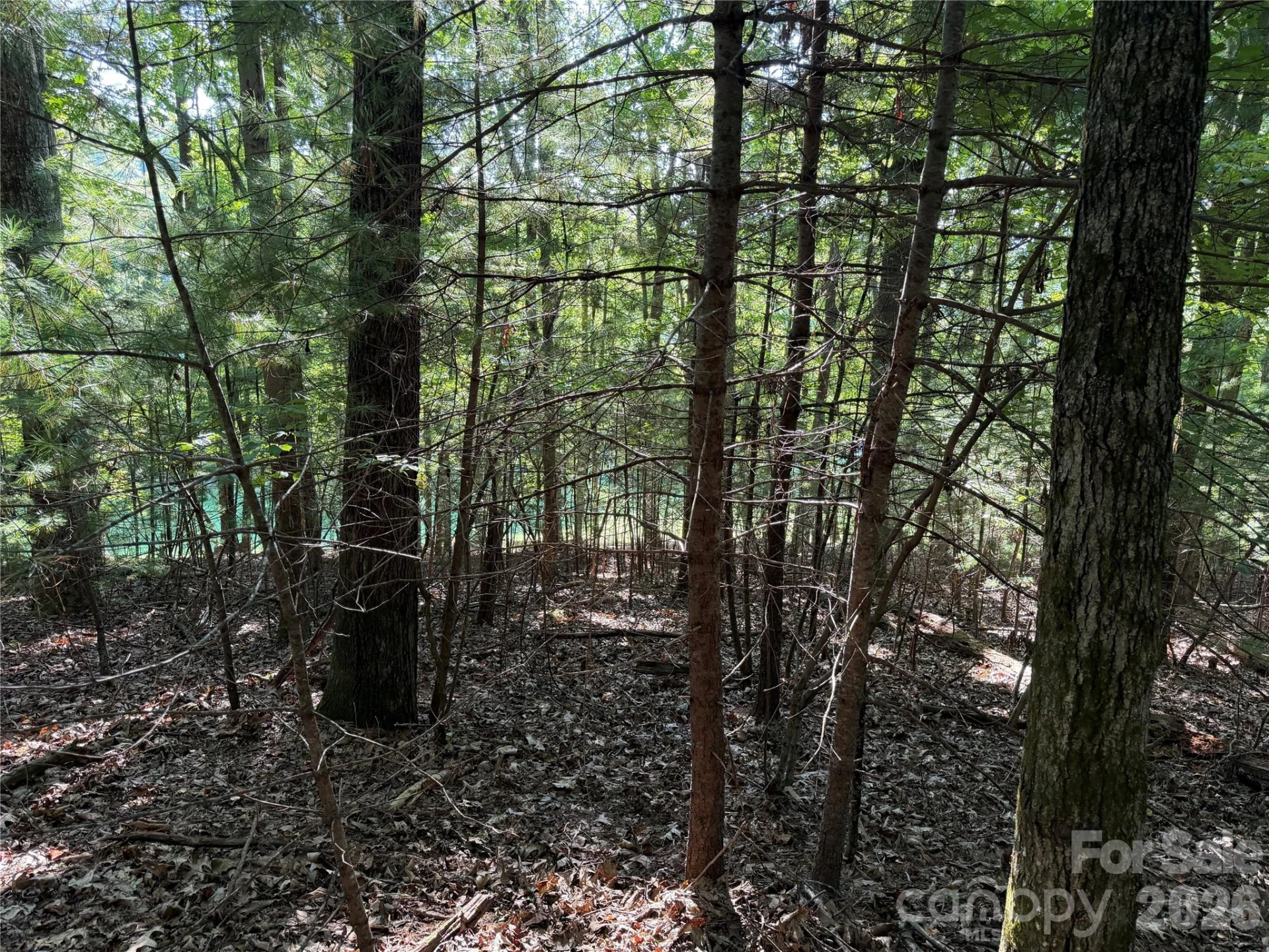 121 Bobby Jones Drive #48 - Photo 9
