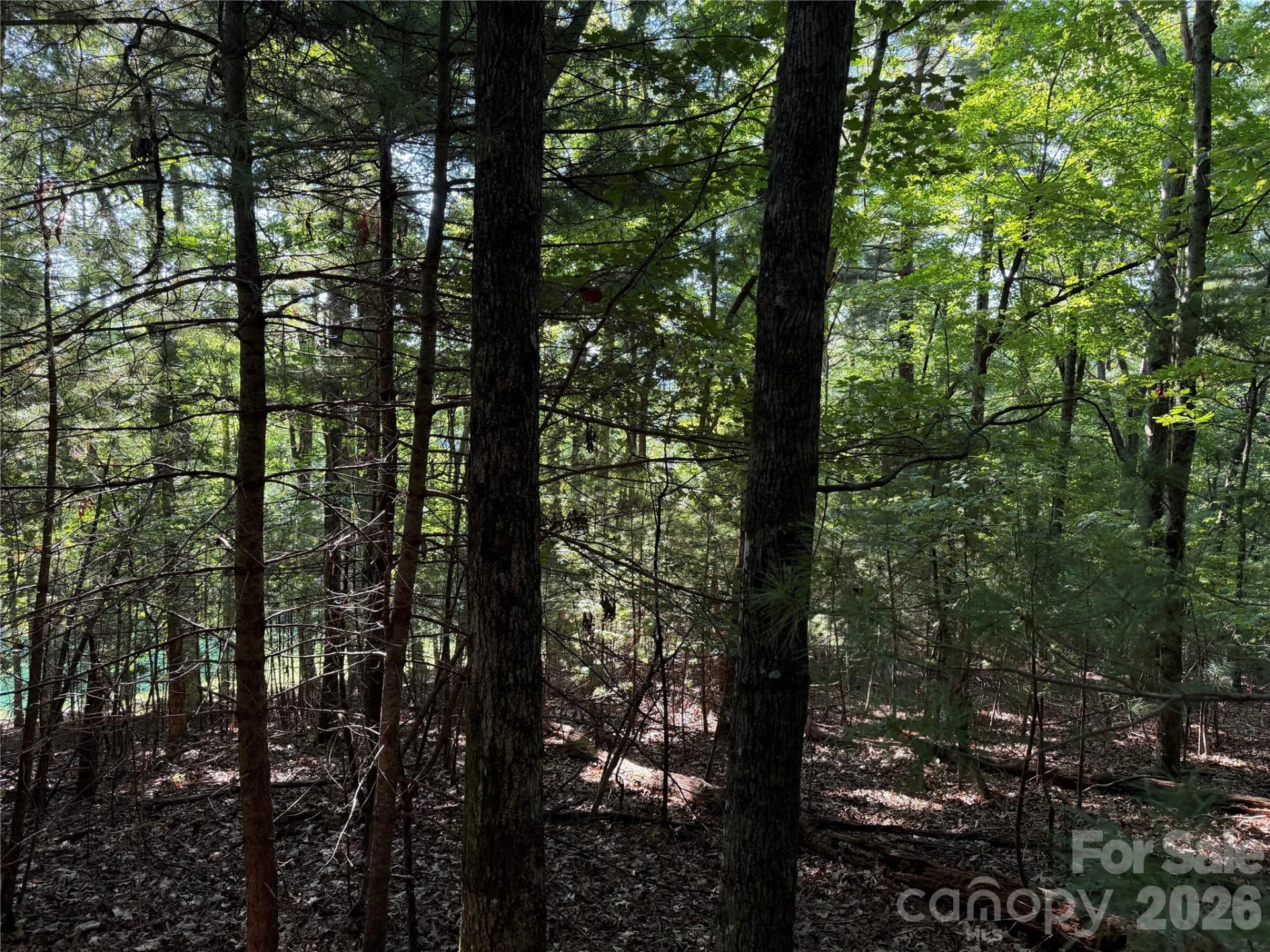 121 Bobby Jones Drive #48 - Photo 10