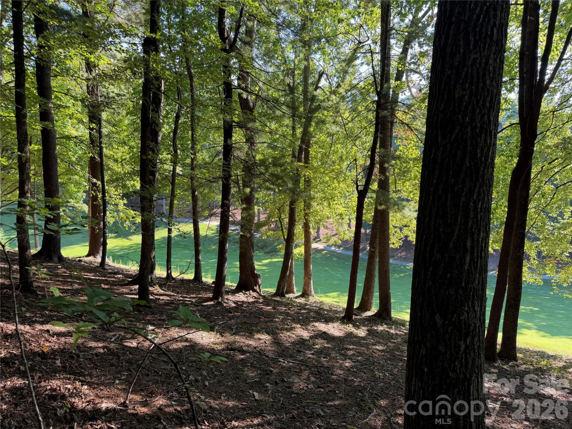 121 Bobby Jones Drive #48 - Photo 11