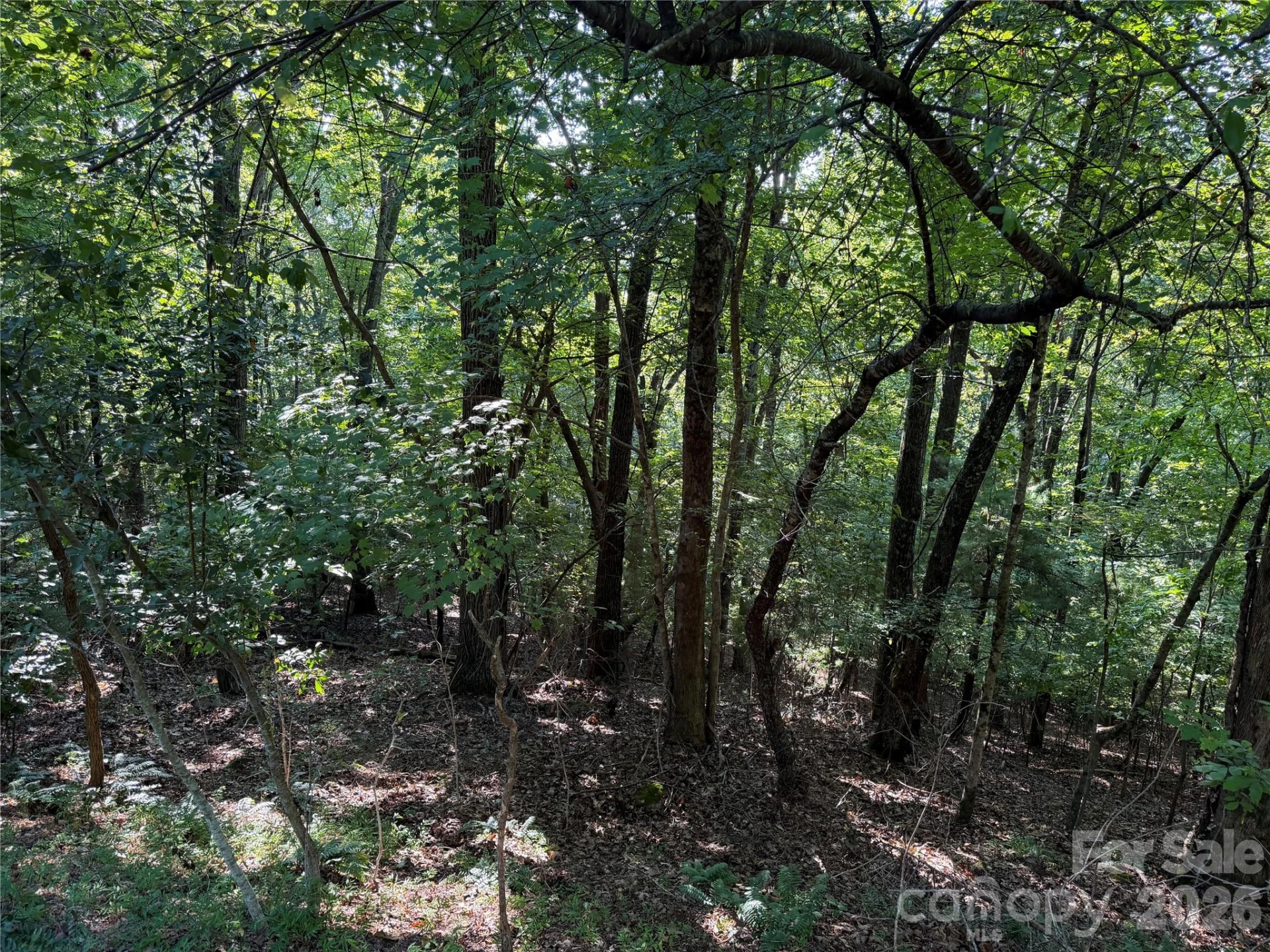 121 Bobby Jones Drive #48 - Photo 12