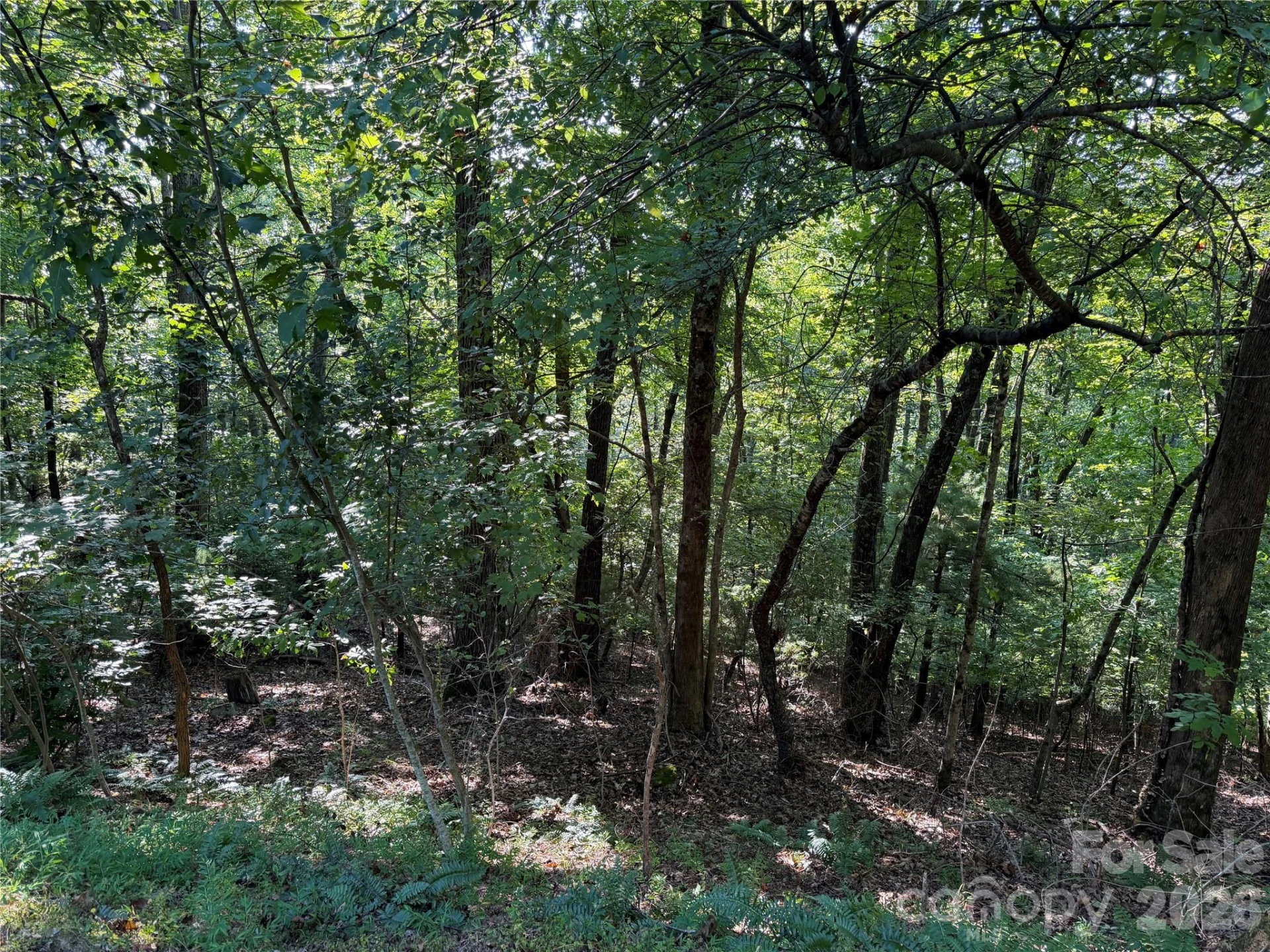 121 Bobby Jones Drive #48 - Photo 13